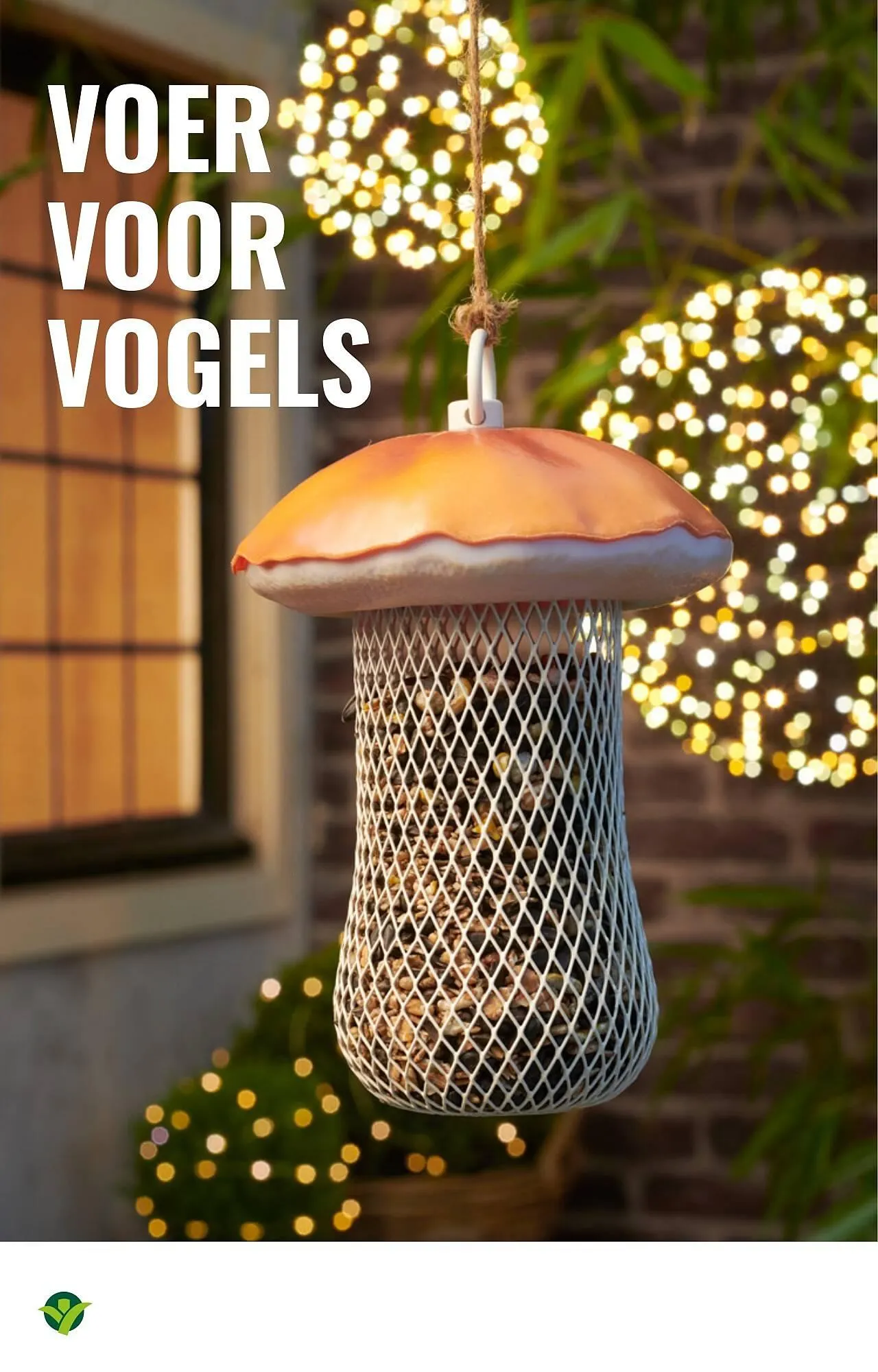 GroenRijk folder van 5 november tot 11 november 2025 - Folder pagina 8