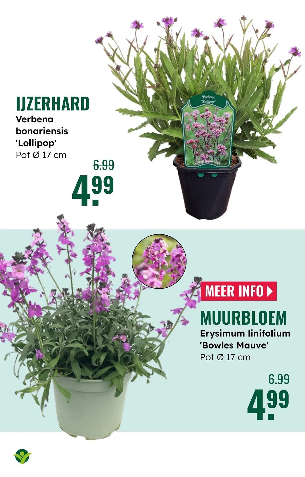 GroenRijk folder van 7 mei tot 13 mei 2025 - Folder pagina 18