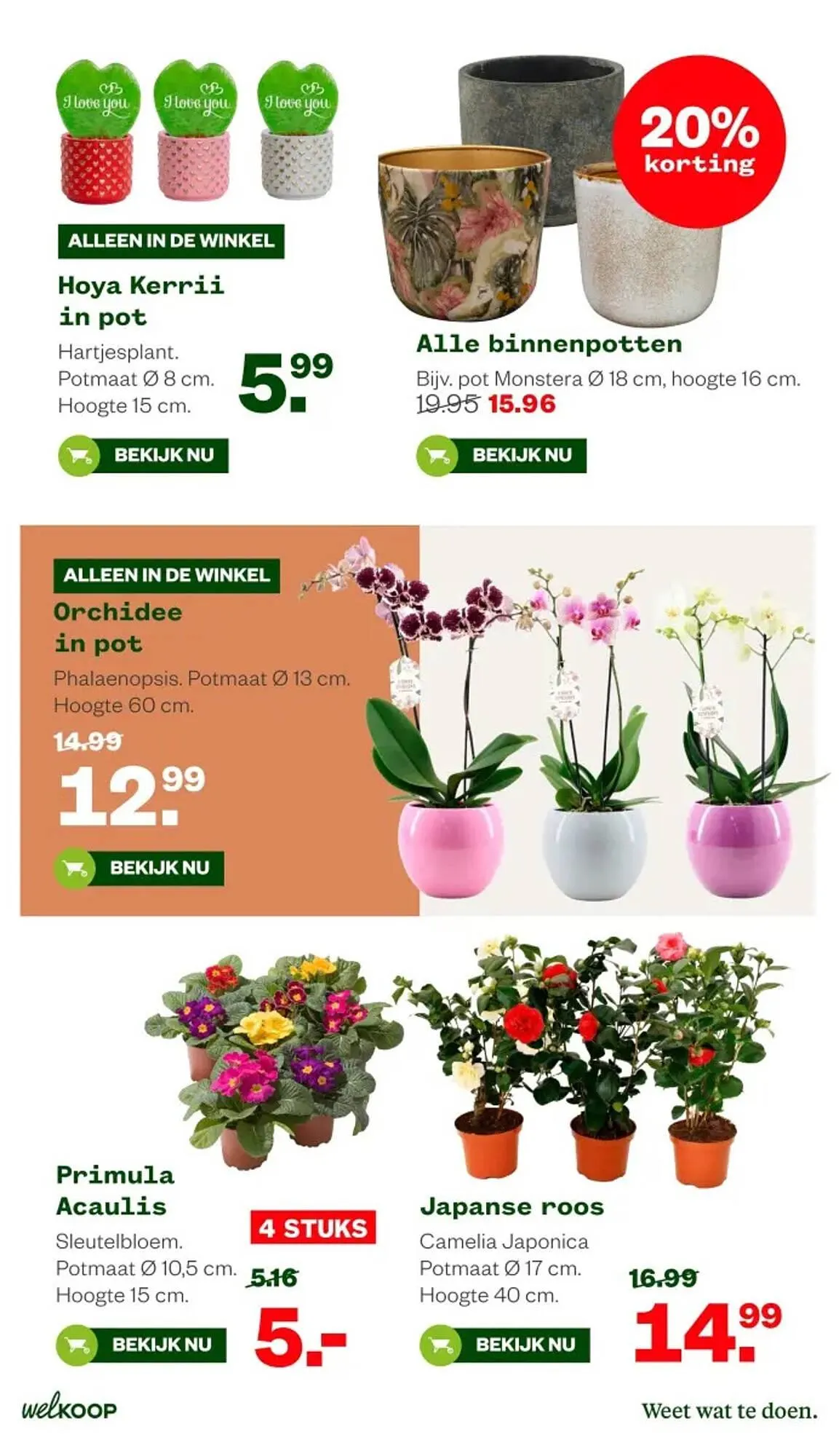 Welkoop folder van 2 februari tot 15 februari 2026 - Folder pagina 16