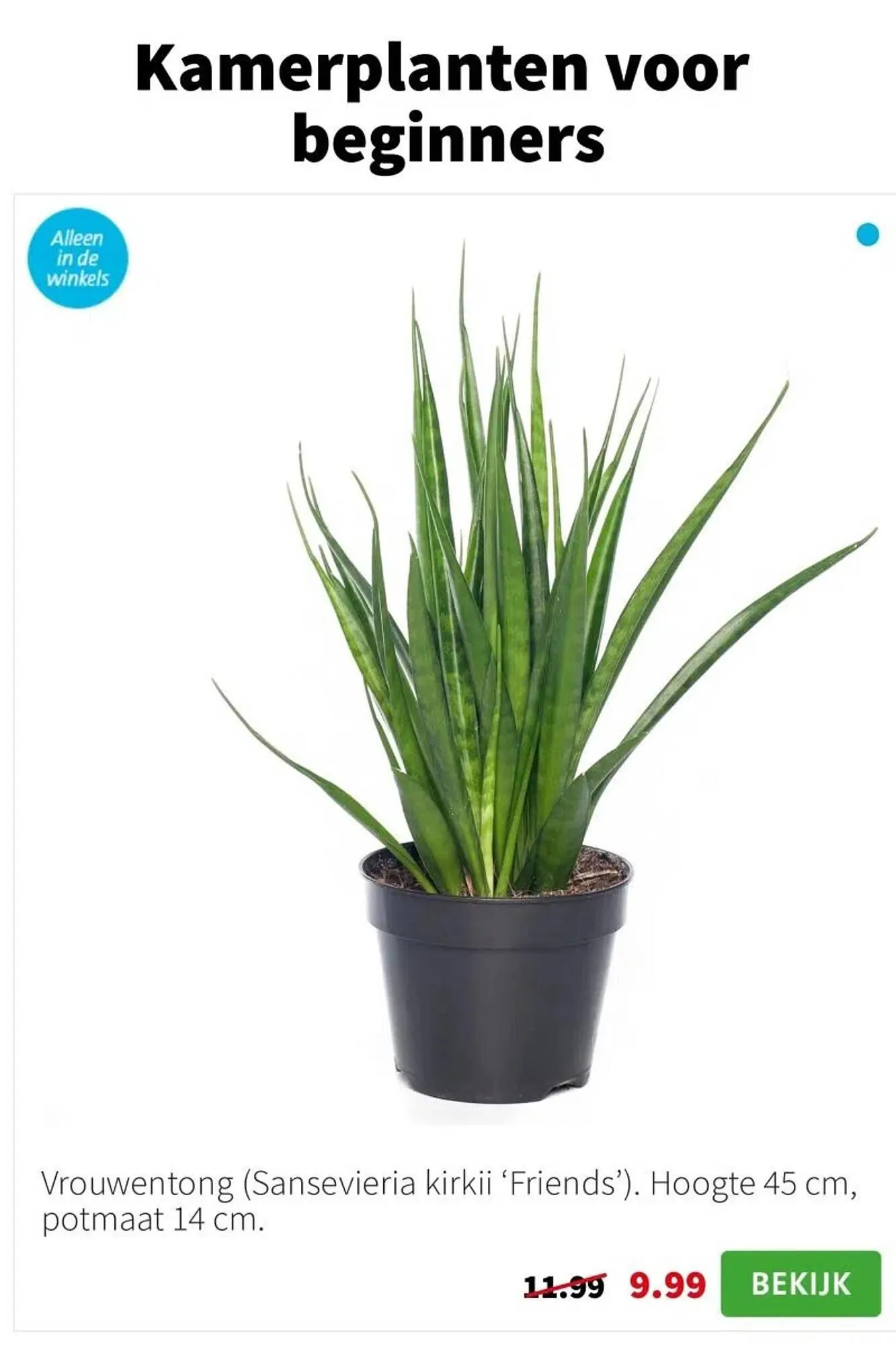 Intratuin folder van 12 januari tot 18 januari 2026 - Folder pagina 2