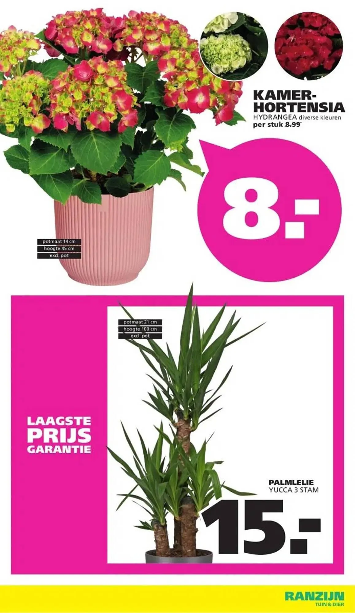 Ranzijn folder van 25 januari tot 7 februari 2026 - Folder pagina 8