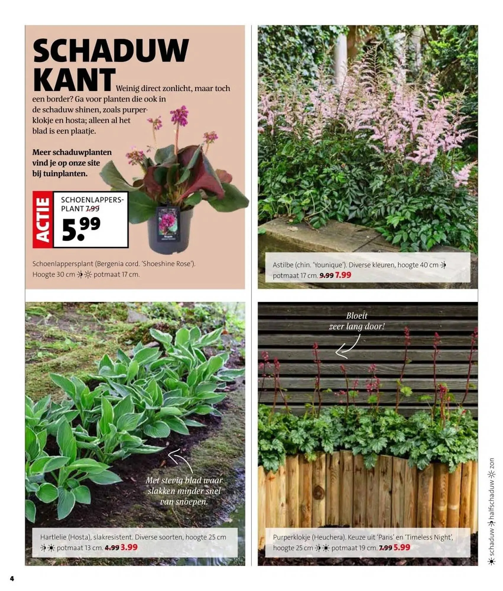 Intratuin folder van 31 maart tot 6 april 2025 - Folder pagina 4