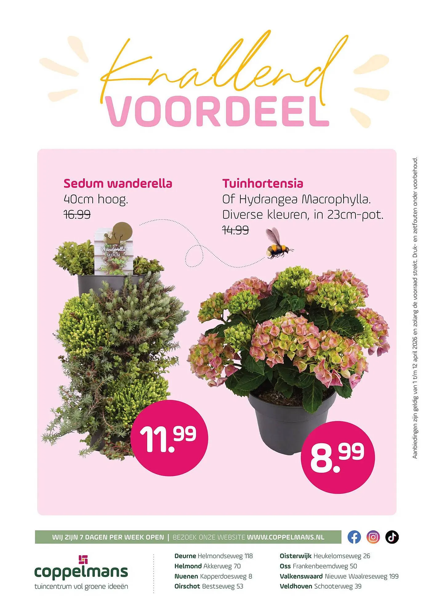 Coppelmans folder van 1 april tot 12 april 2026 - Folder pagina 10