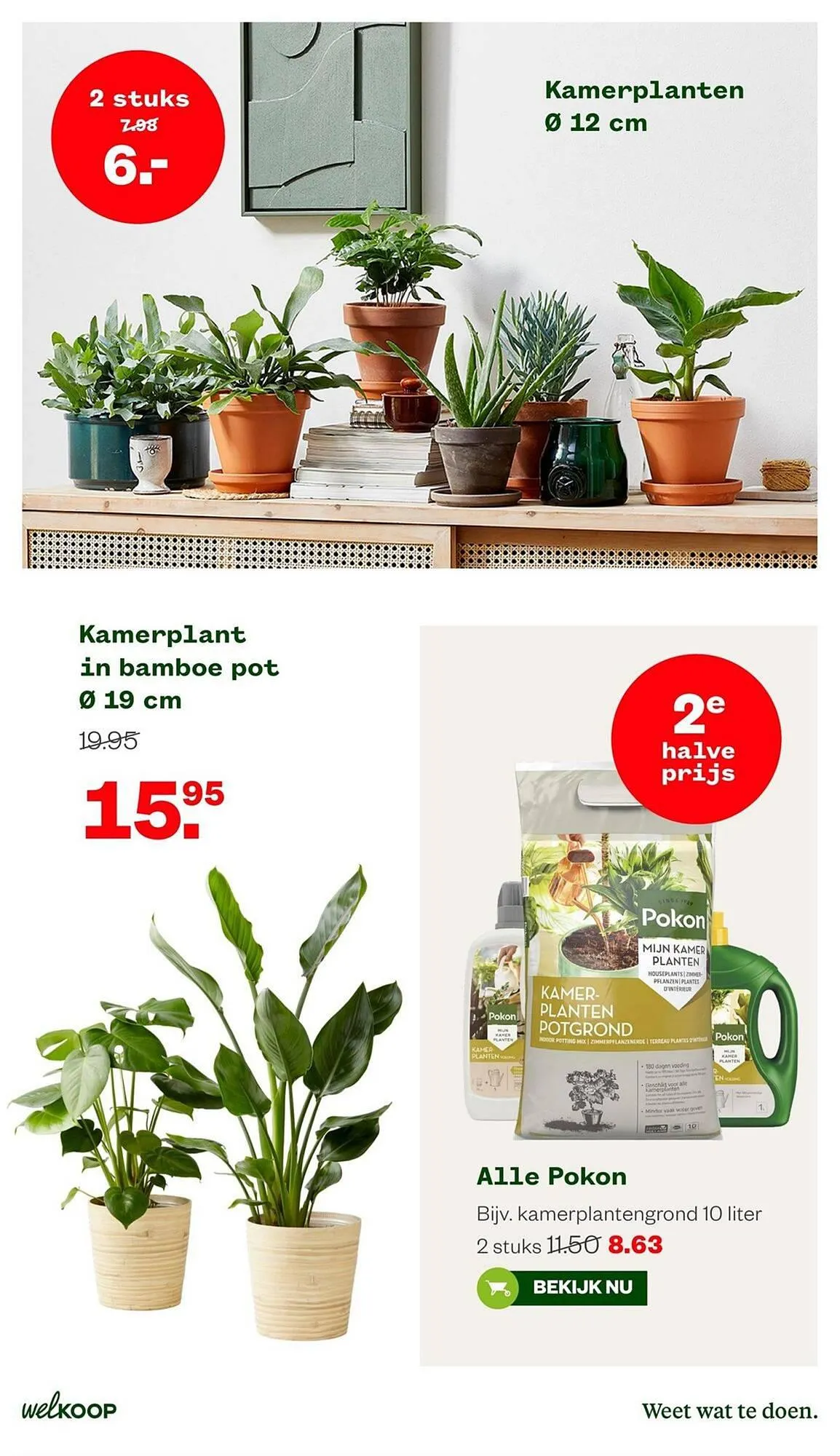 Welkoop folder van 4 september tot 24 september 2023 - Folder pagina 7