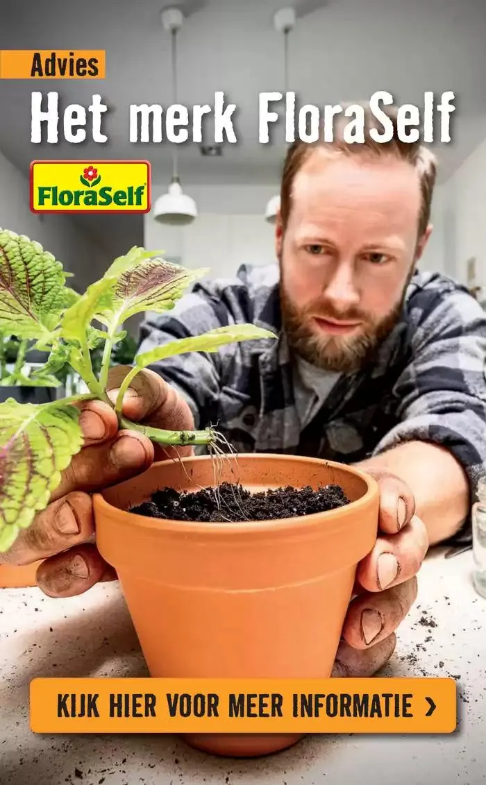 Hornbach folder van 7 januari tot 14 januari 2025 - Folder pagina 82