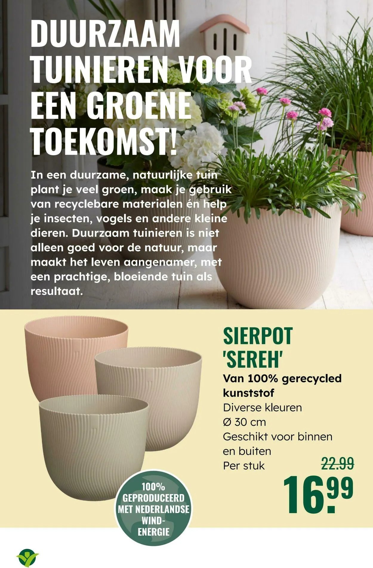 GroenRijk Actuele folder van 10 juni tot 24 juni 2025 - Folder pagina 3