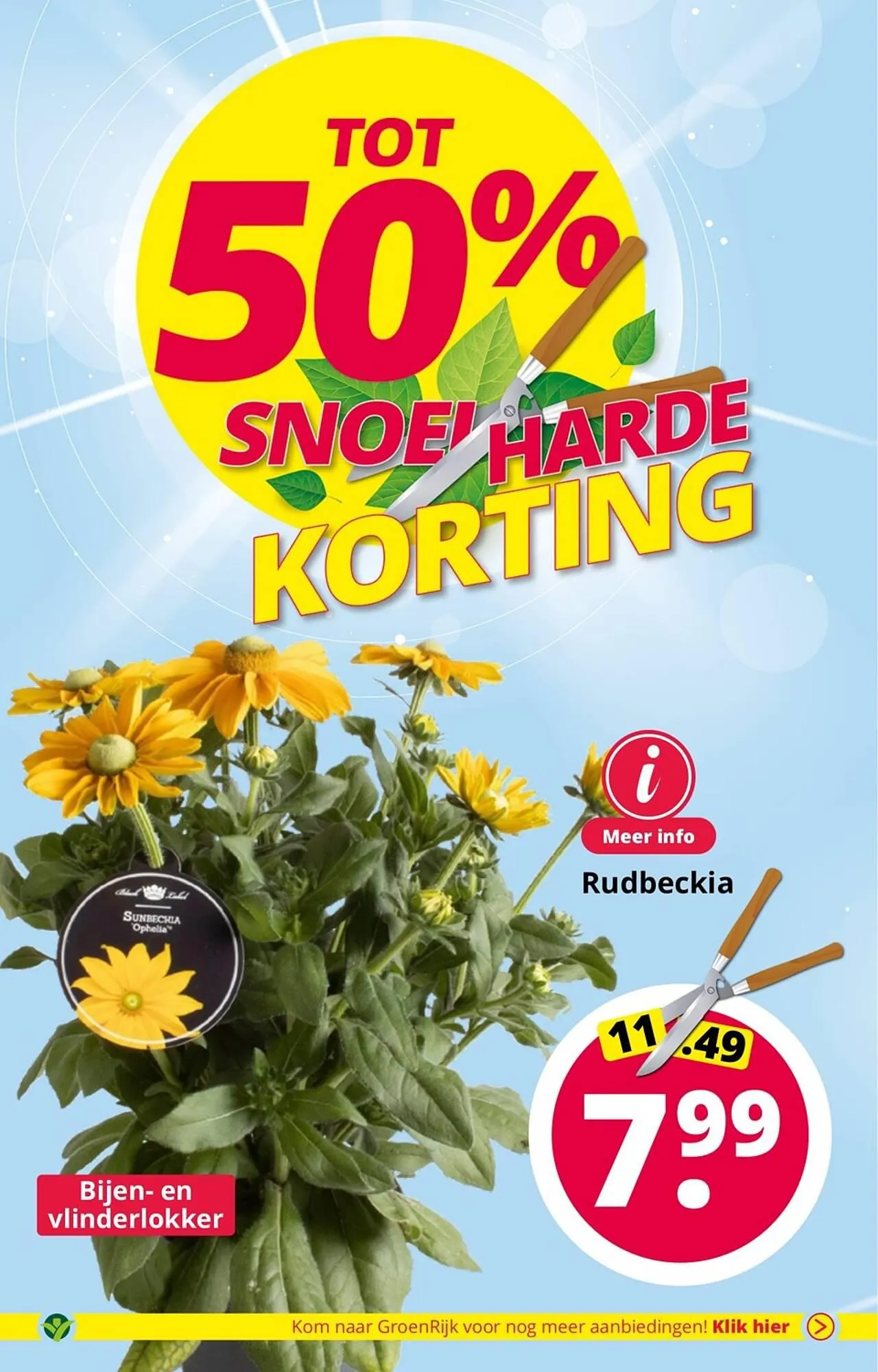 GroenRijk folder van 1 augustus tot 15 augustus 2023 - Folder pagina 10