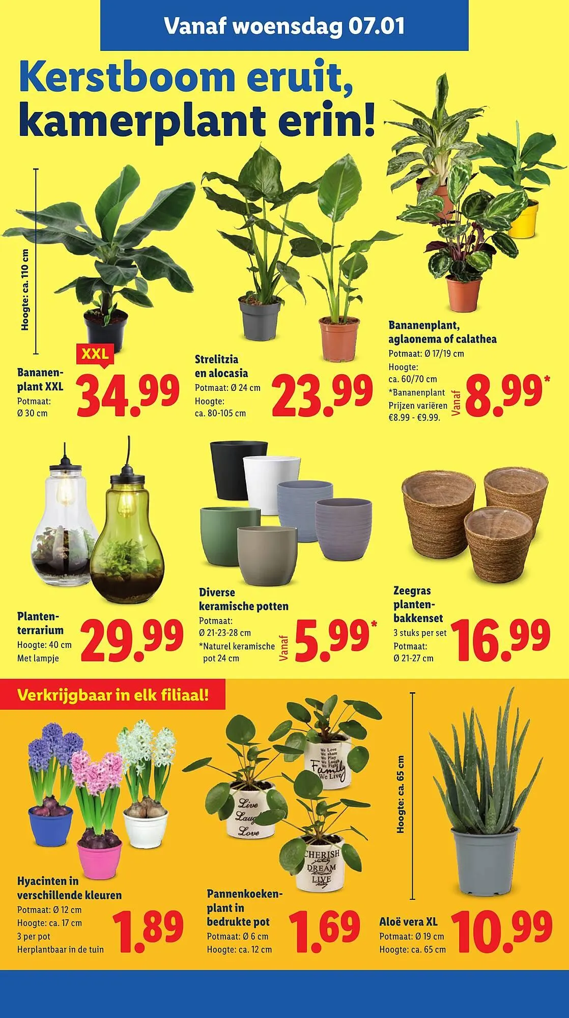 Lidl folder van 5 januari tot 10 januari 2026 - Folder pagina 16