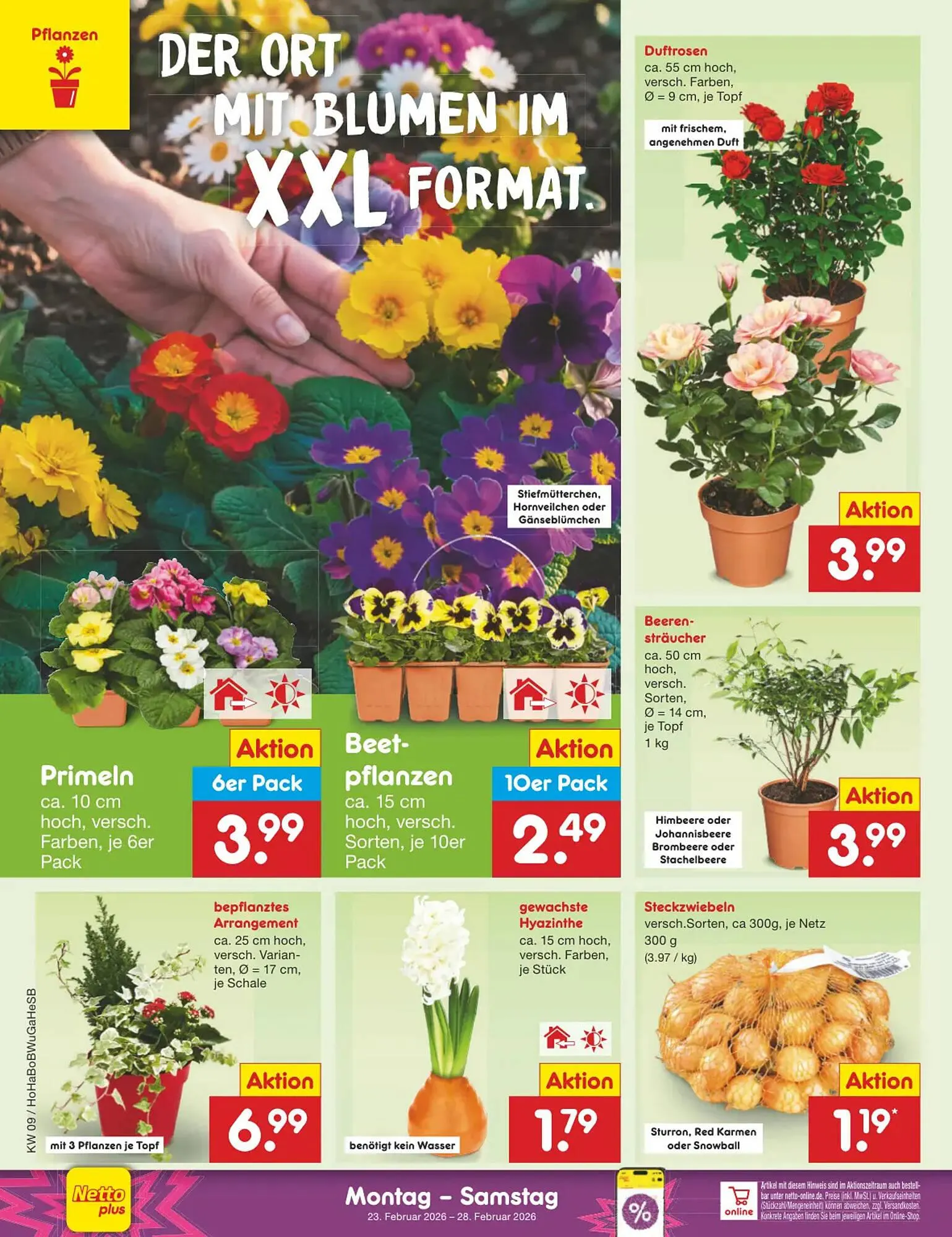 Netto Marken-Discount DE folder van 23 februari tot 28 februari 2026 - Folder pagina 38