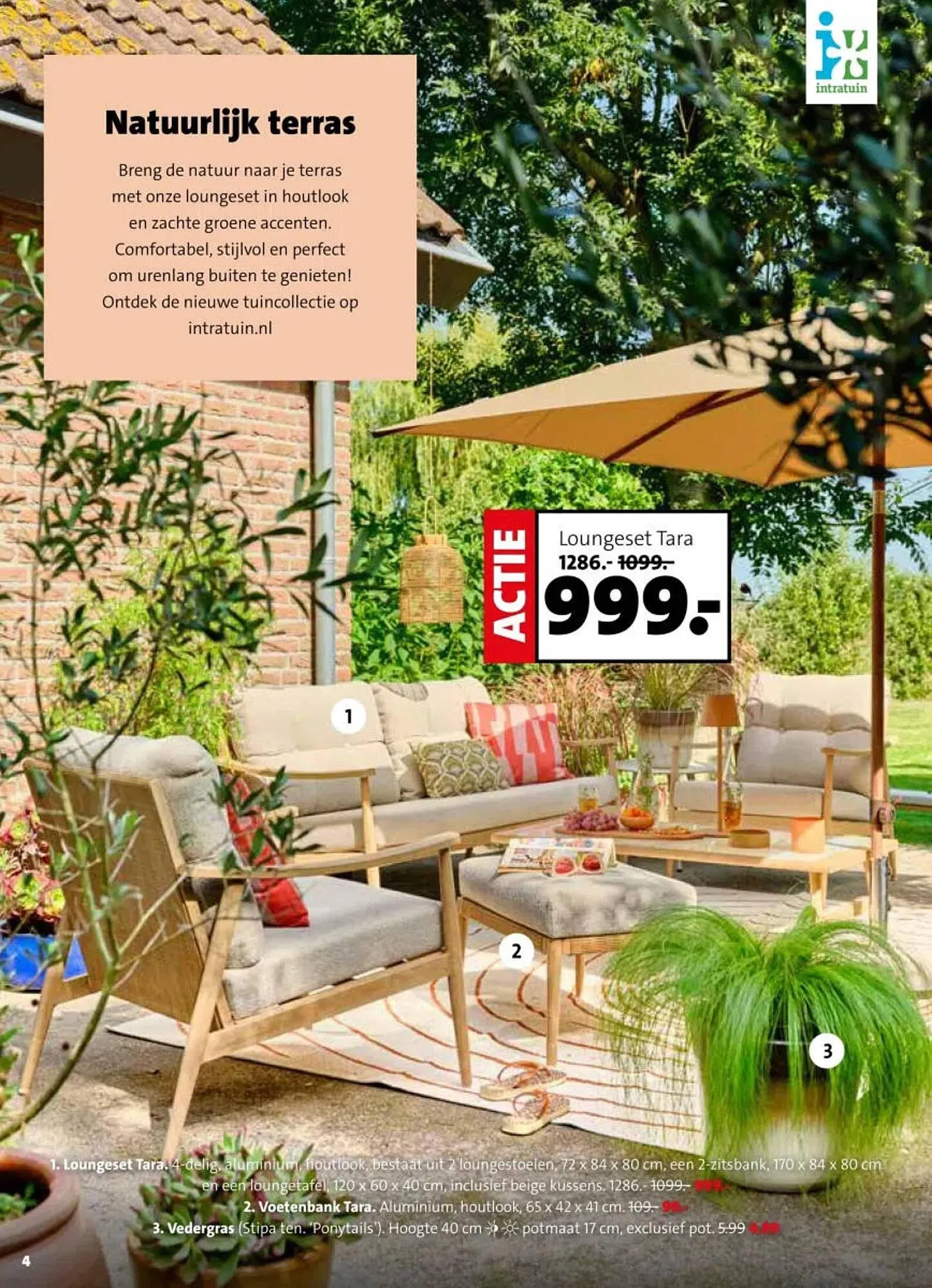Intratuin folder van 16 maart tot 22 maart 2026 - Folder pagina 4