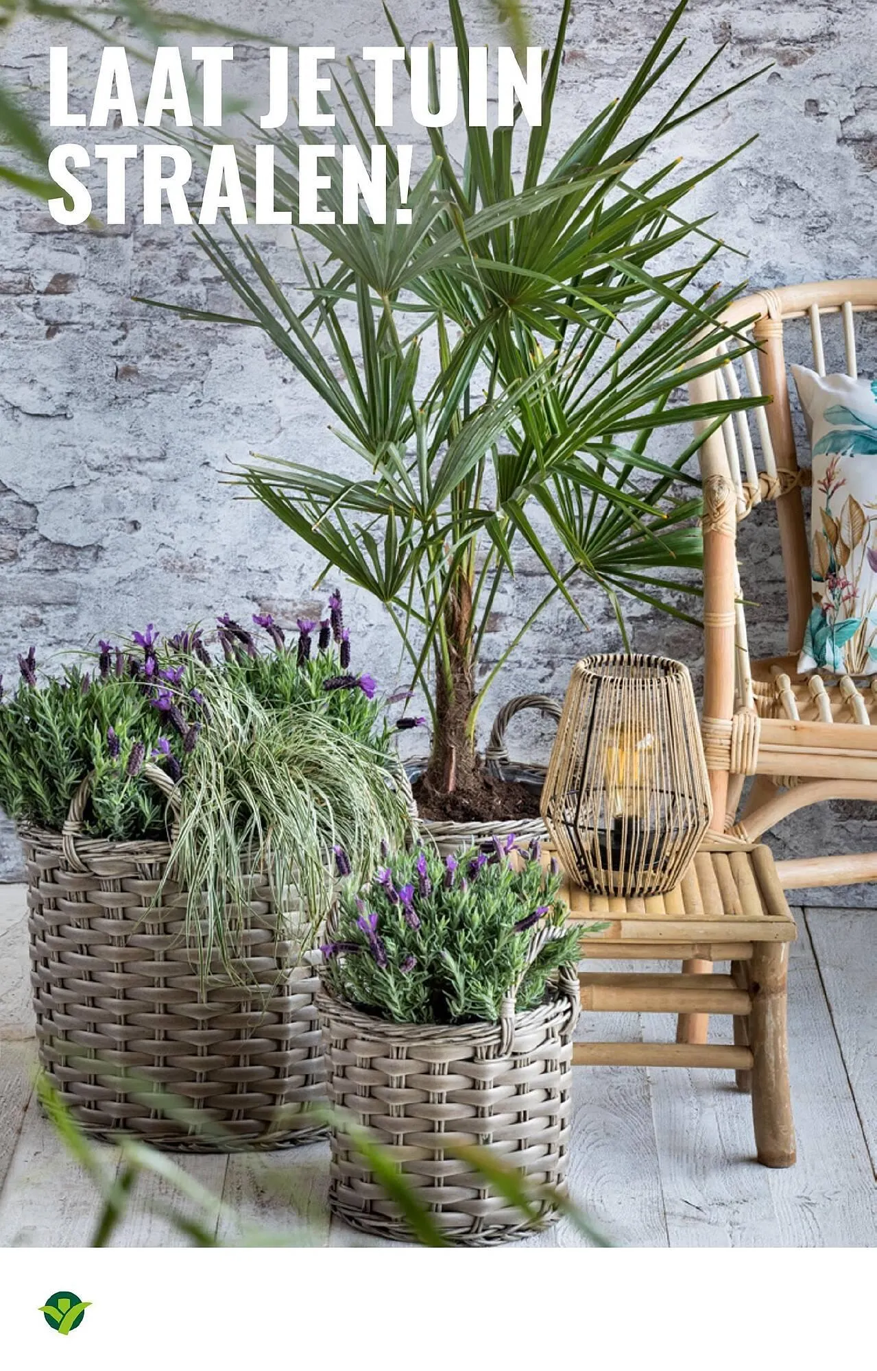 GroenRijk folder van 28 mei tot 3 juni 2025 - Folder pagina 4