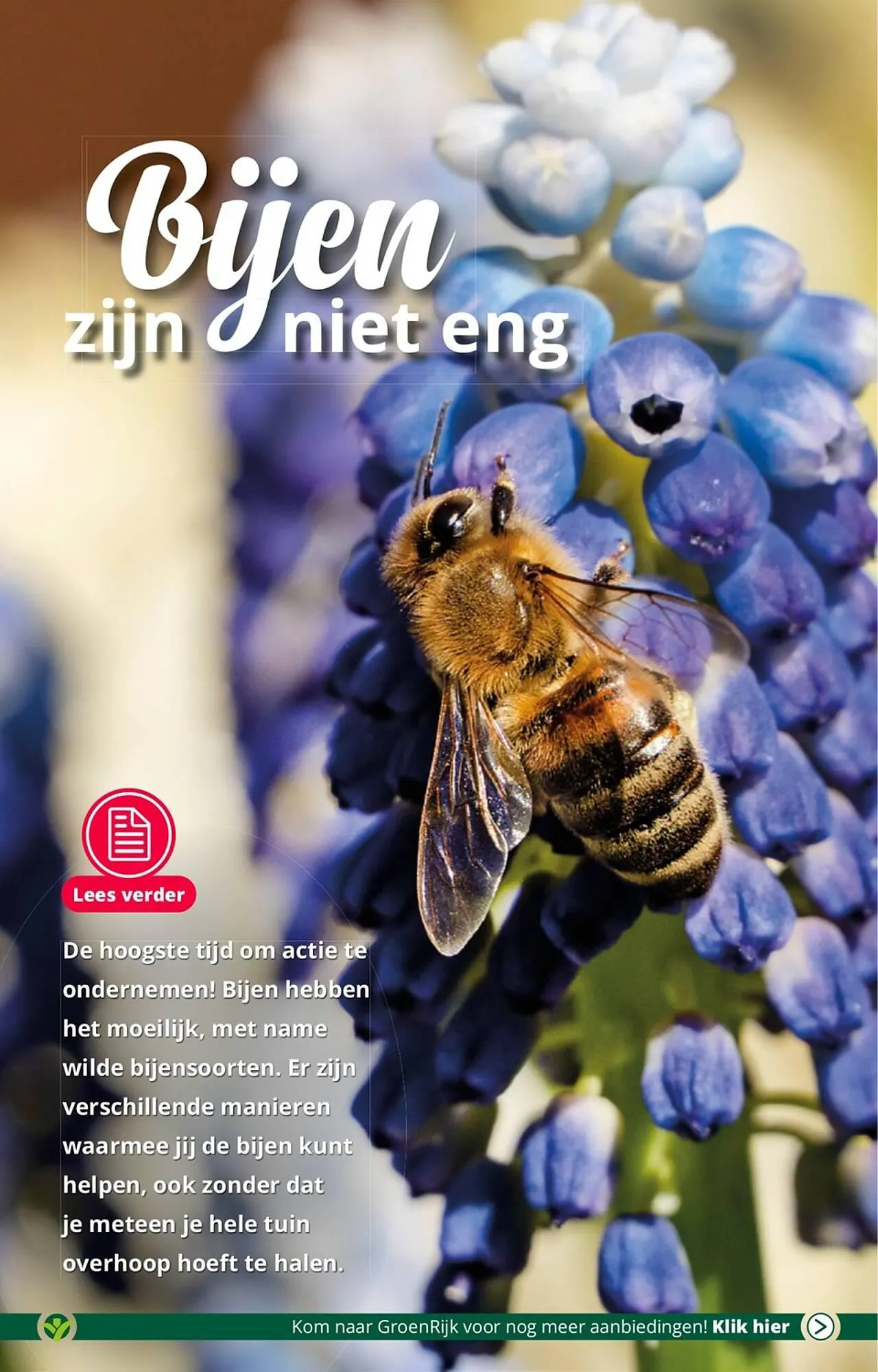 GroenRijk folder van 18 juli tot 25 juli 2023 - Folder pagina 3