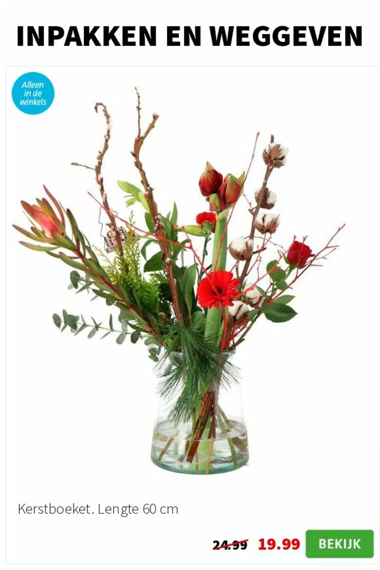 Intratuin Actuele folder van 9 februari tot 23 februari 2025 - Folder pagina 4