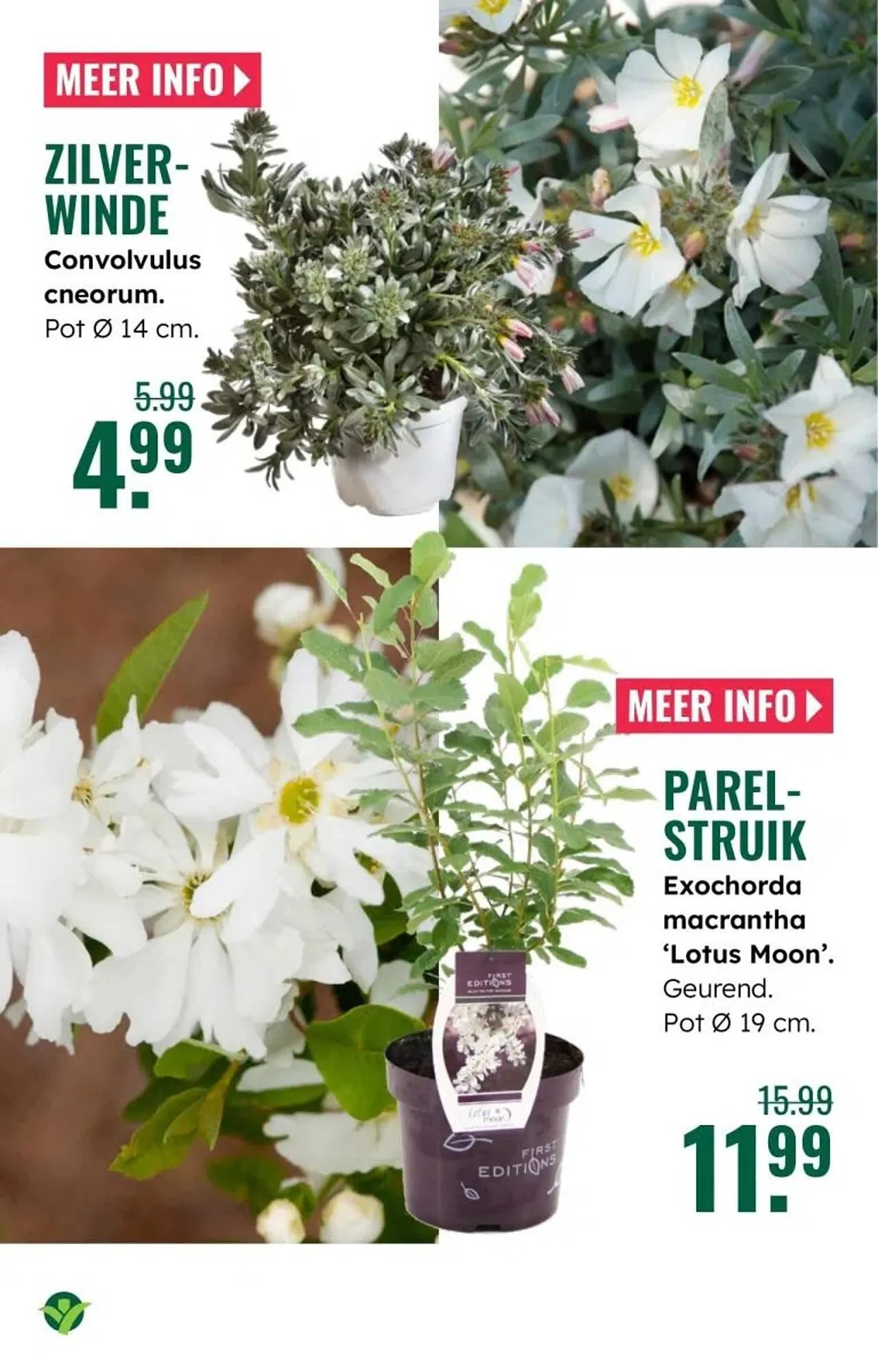 GroenRijk folder van 5 maart tot 11 maart 2026 - Folder pagina 8