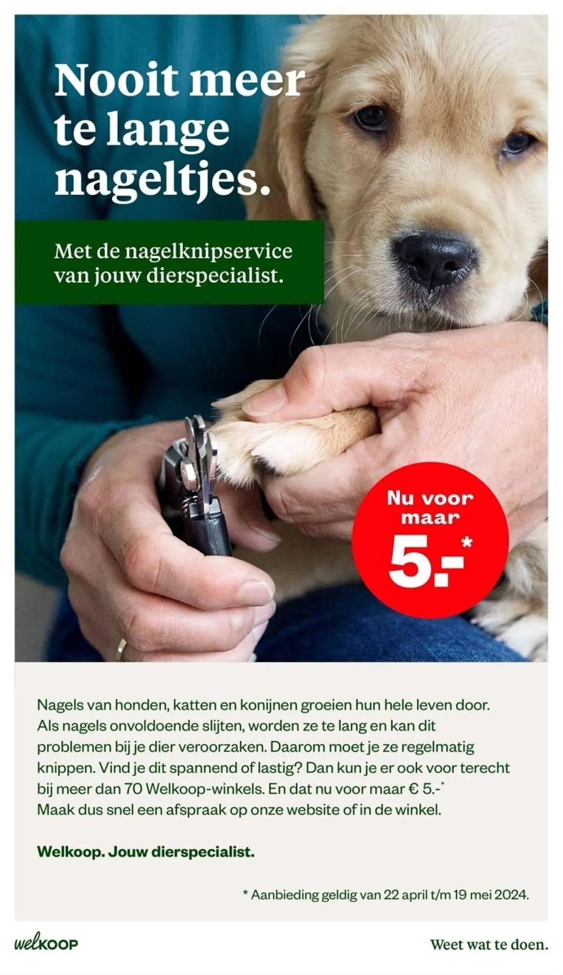 Welkoop folder van 22 april tot 5 mei 2024 - Folder pagina 21