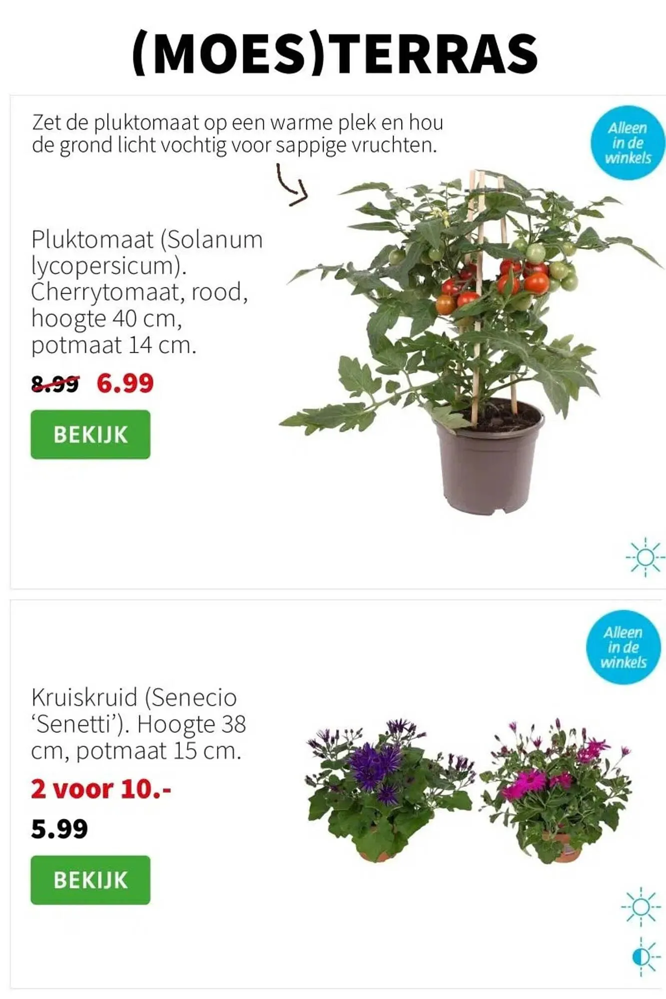 Intratuin folder van 7 april tot 13 april 2025 - Folder pagina 7