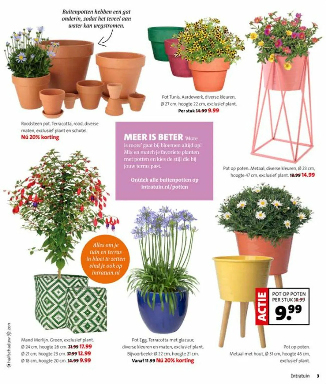 Intratuin Actuele folder van 3 augustus tot 17 augustus 2025 - Folder pagina 3
