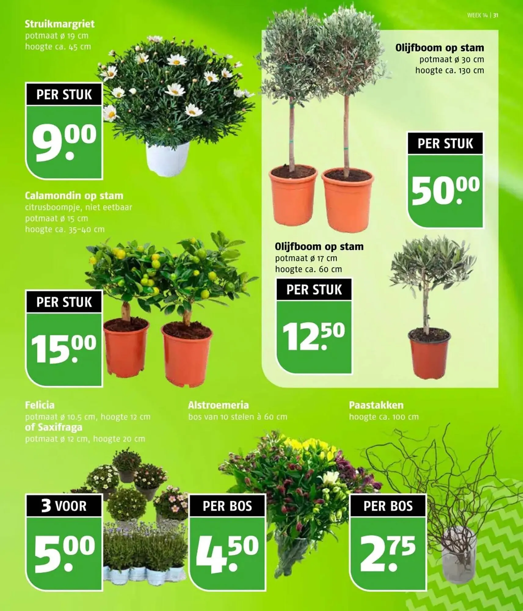 Poiesz folder van 31 maart tot 6 april 2025 - Folder pagina 31