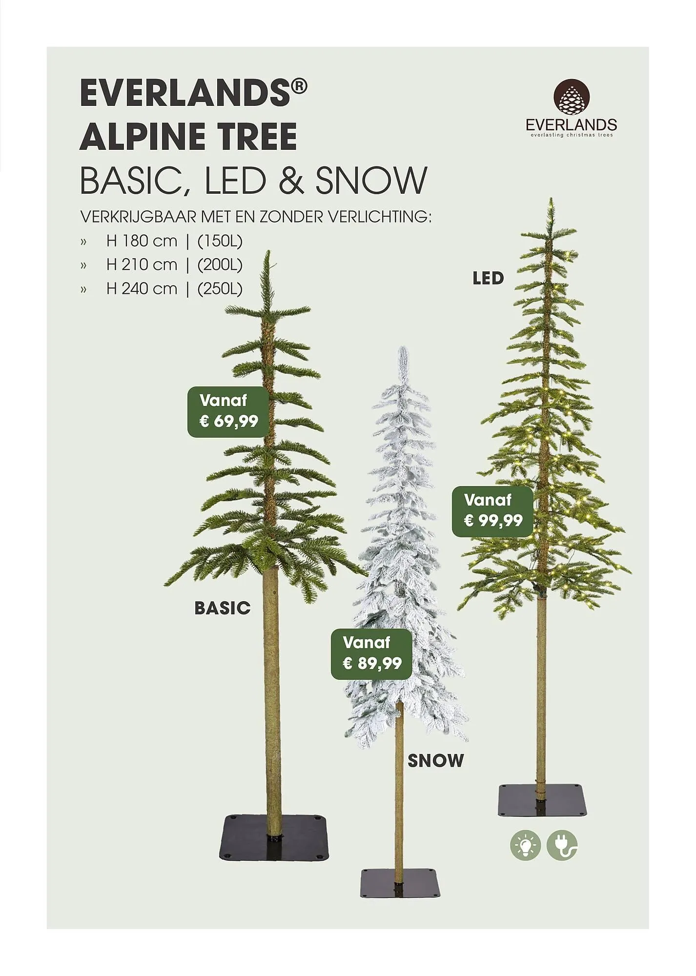 Coppelmans kerstbomencatalogus van 12 november tot 24 december 2025 - Folder pagina 34