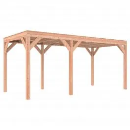 Outdoor Life Douglas Overkapping 550x250 A-Sym/1