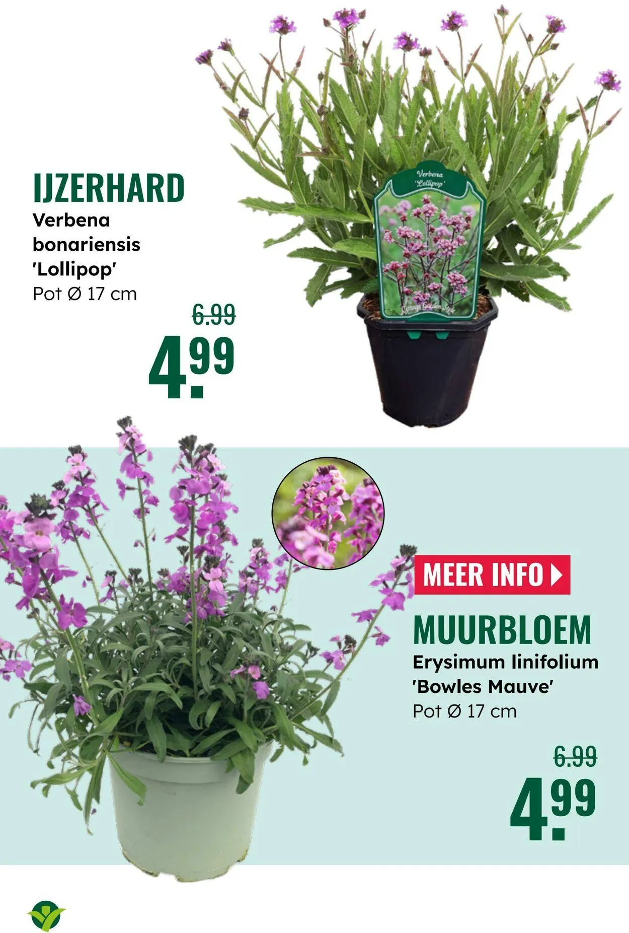 GroenRijk Actuele folder van 5 augustus tot 19 augustus 2025 - Folder pagina 18