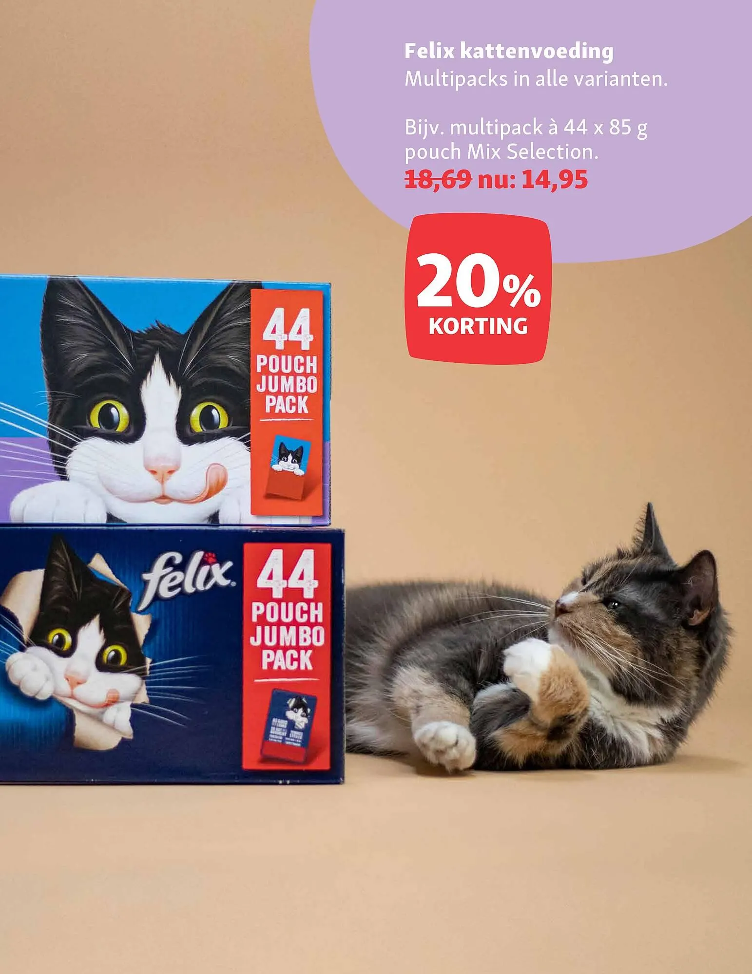 Maxi Zoo folder van 8 december tot 14 december 2025 - Folder pagina 14