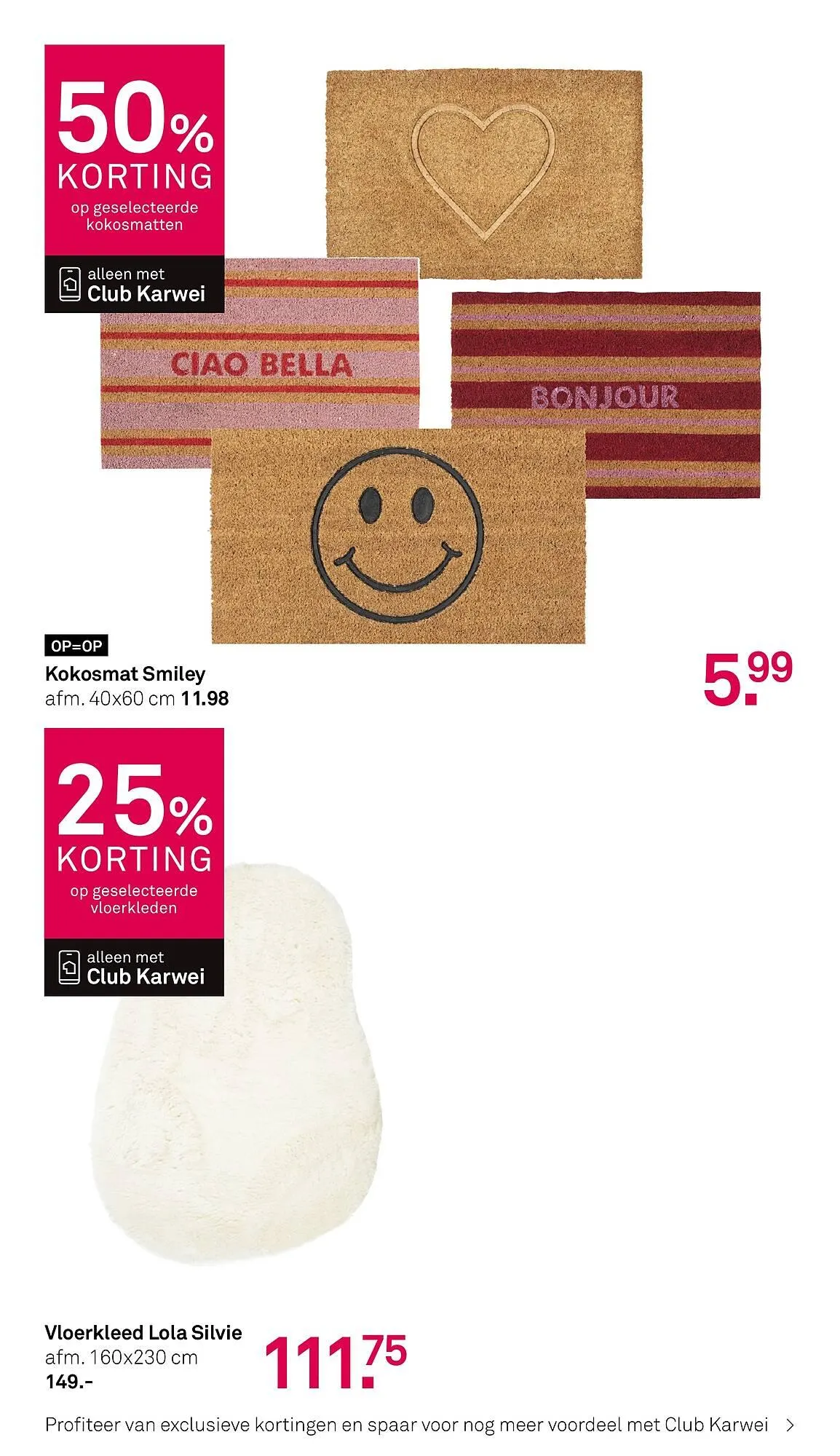 Karwei folder van 2 maart tot 15 maart 2026 - Folder pagina 21