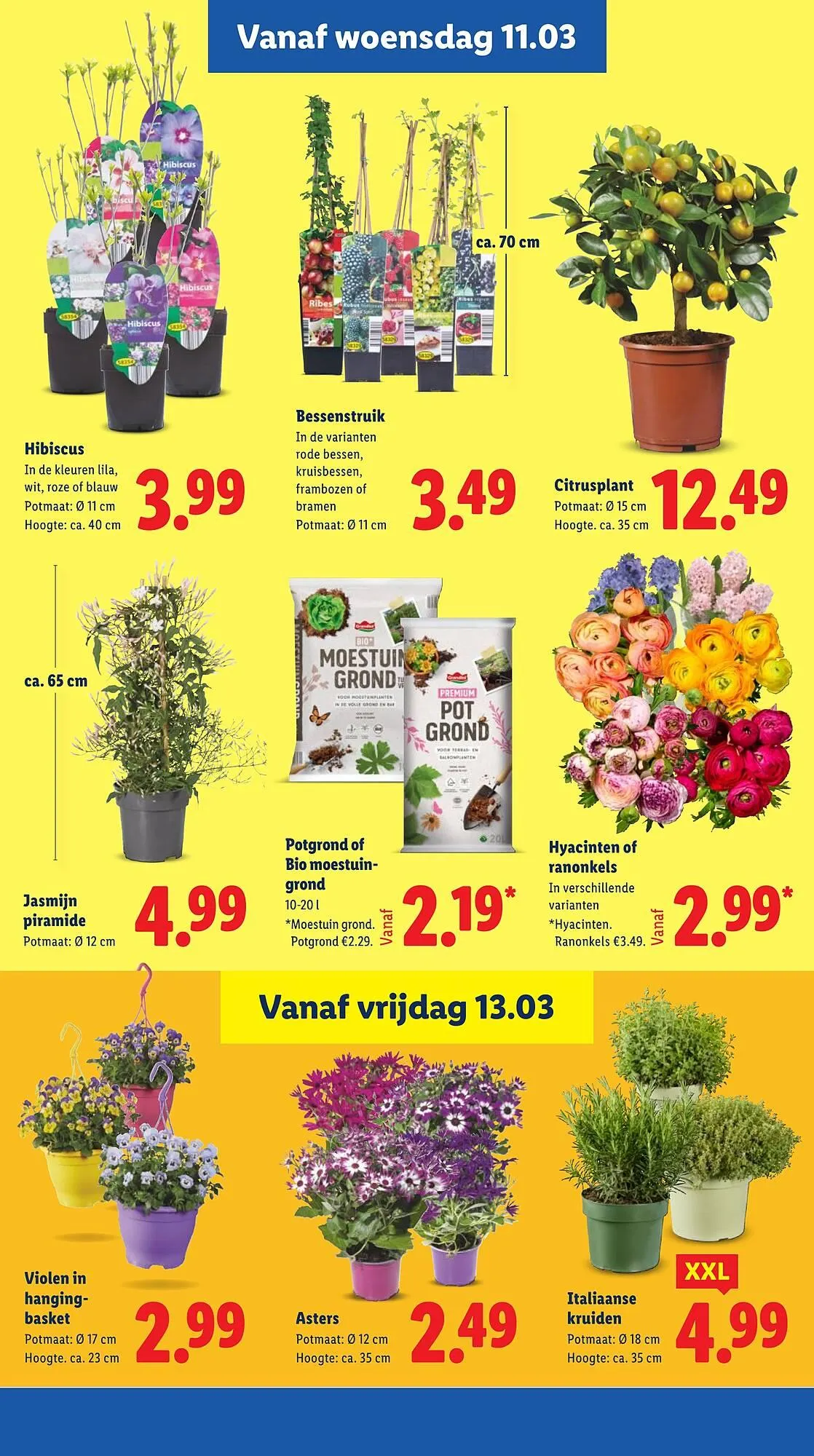 Lidl folder van 9 maart tot 15 maart 2026 - Folder pagina 18