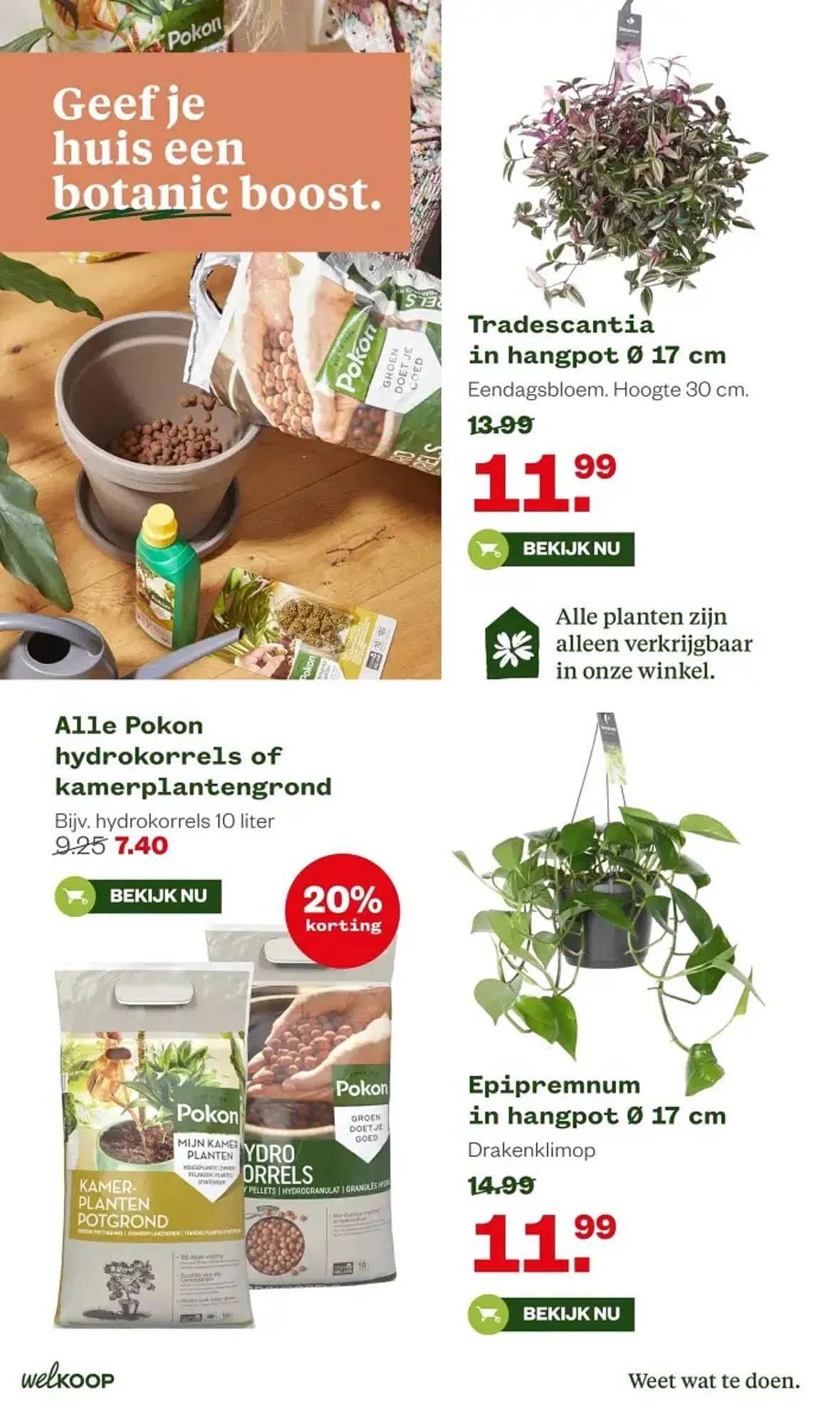 Welkoop folder van 16 februari tot 1 maart 2026 - Folder pagina 26