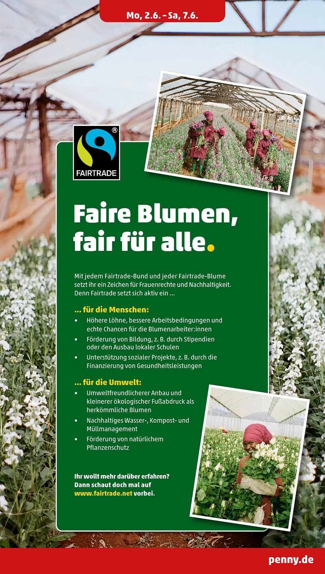 PENNY DE folder van 2 juni tot 7 juni 2025 - Folder pagina 9