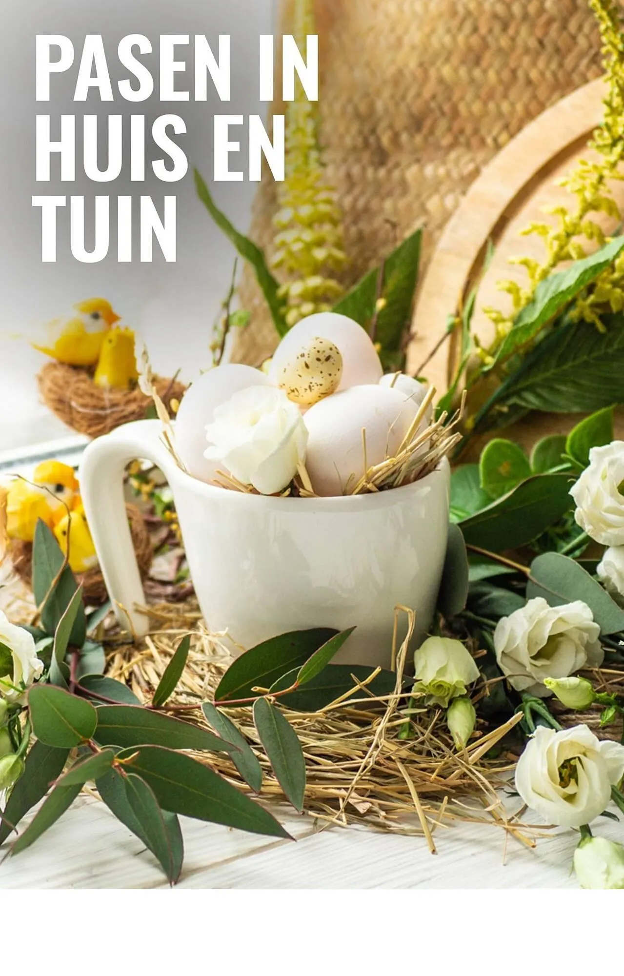 GroenRijk folder van 18 maart tot 1 april 2026 - Folder pagina 6