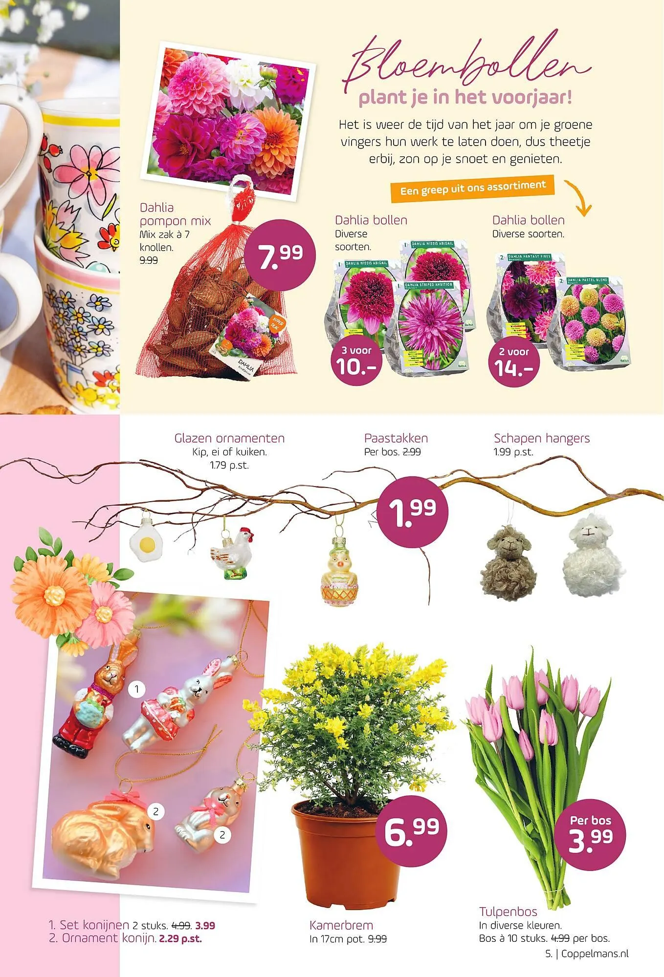 Coppelmans folder van 18 maart tot 29 maart 2026 - Folder pagina 5