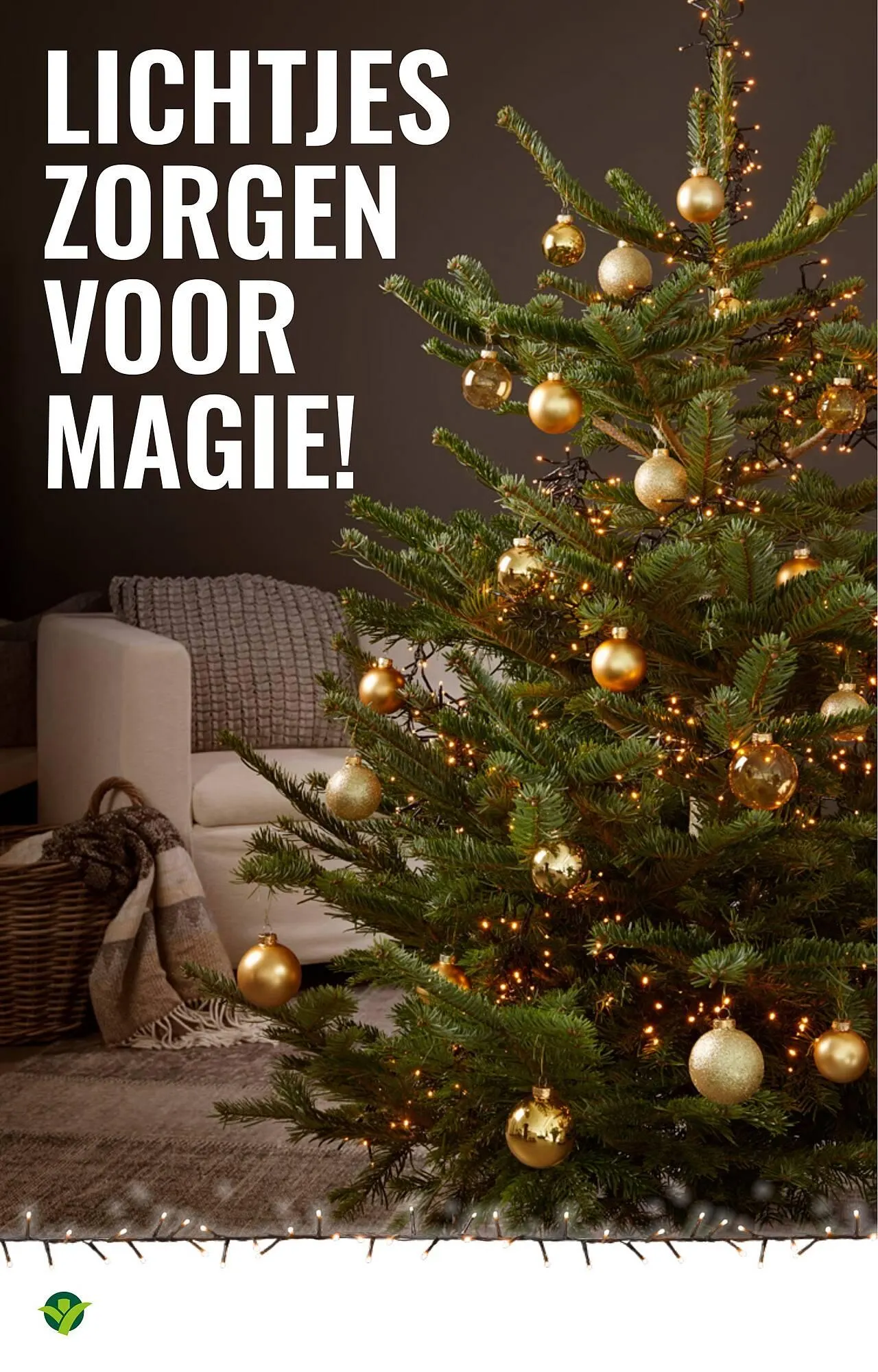 GroenRijk folder van 19 november tot 25 november 2025 - Folder pagina 8