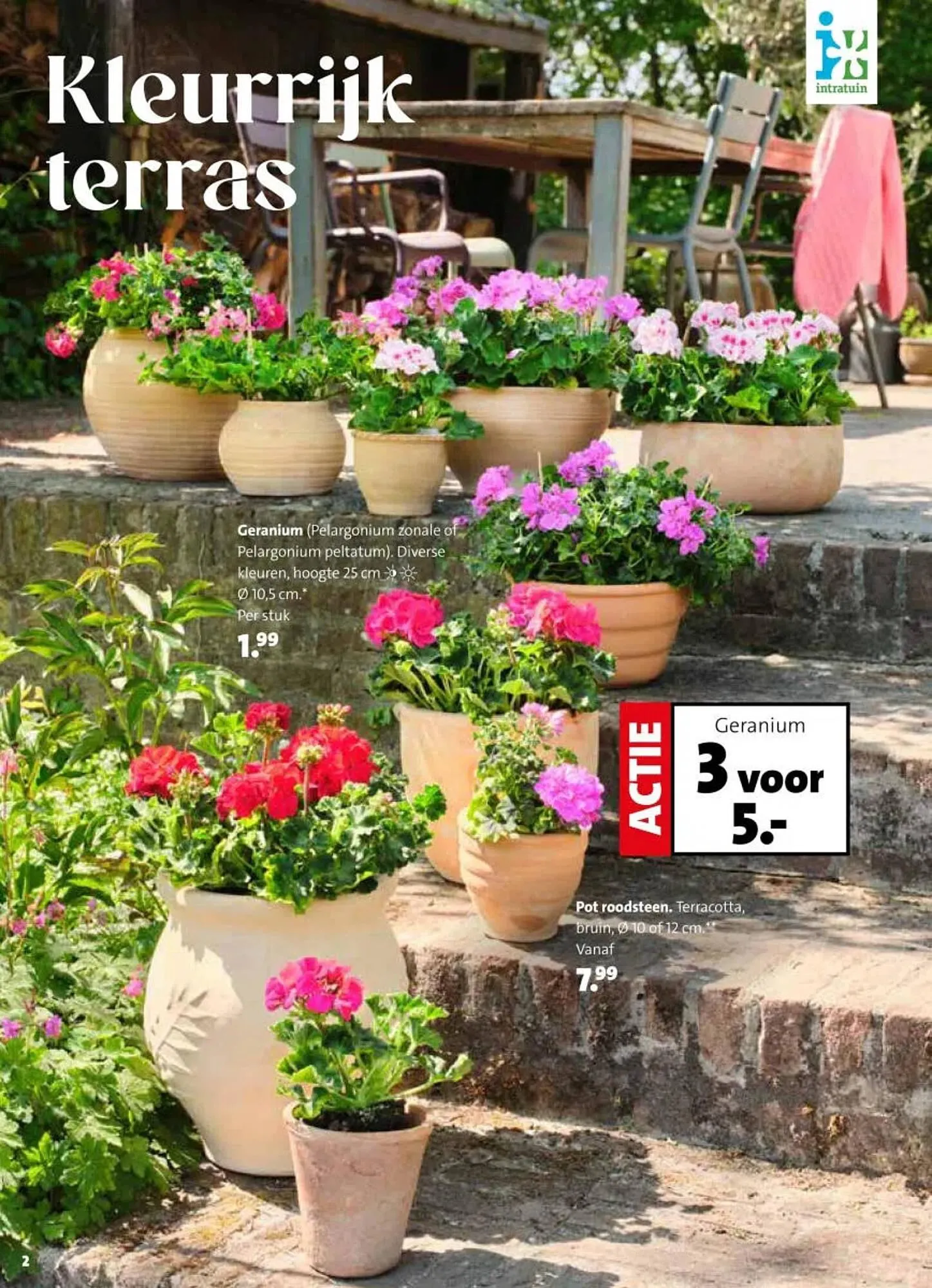 Intratuin folder van 13 april tot 19 april 2026 - Folder pagina 2