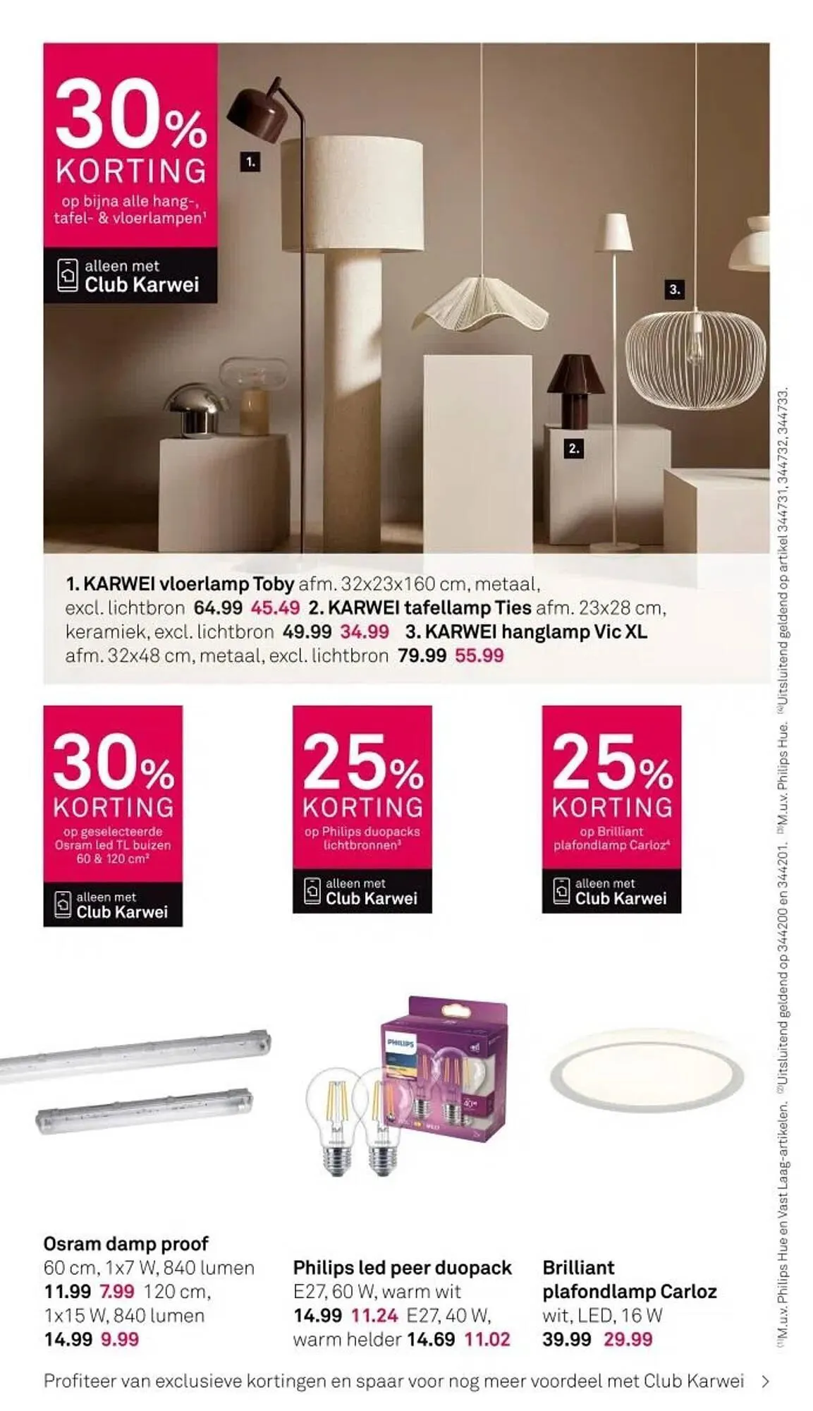 Karwei folder van 19 januari tot 25 januari 2026 - Folder pagina 12