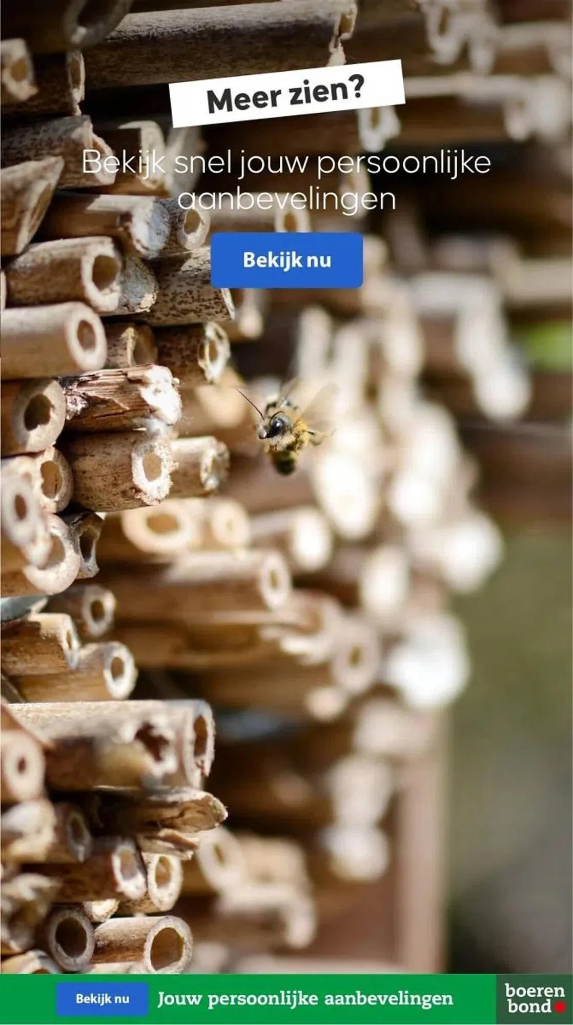 Boerenbond folder van 9 oktober tot 15 oktober 2023 - Folder pagina 29