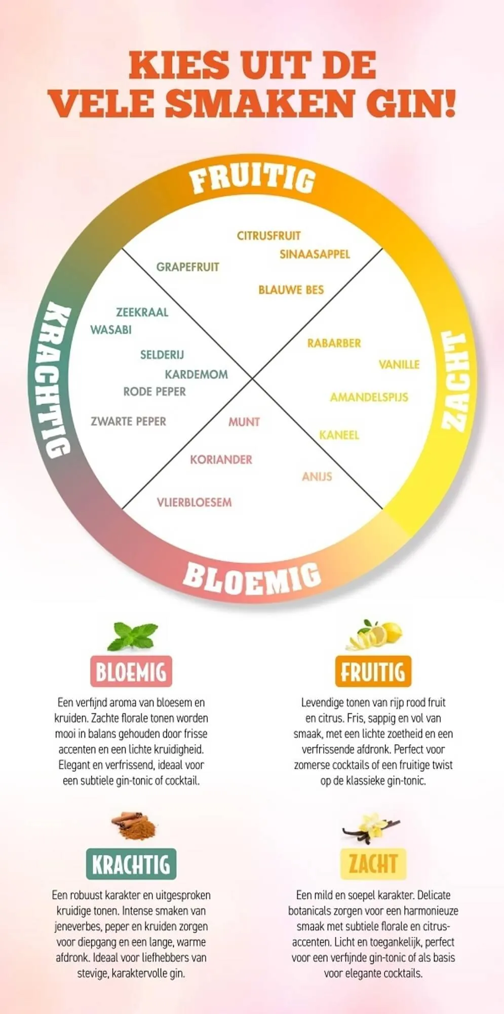 Mitra folder van 7 juli tot 13 juli 2025 - Folder pagina 2