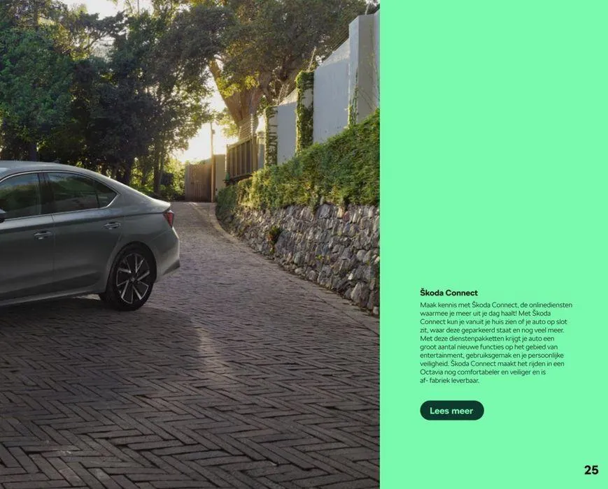 Brochure van 13 juni tot 13 juni 2025 - Folder pagina 17