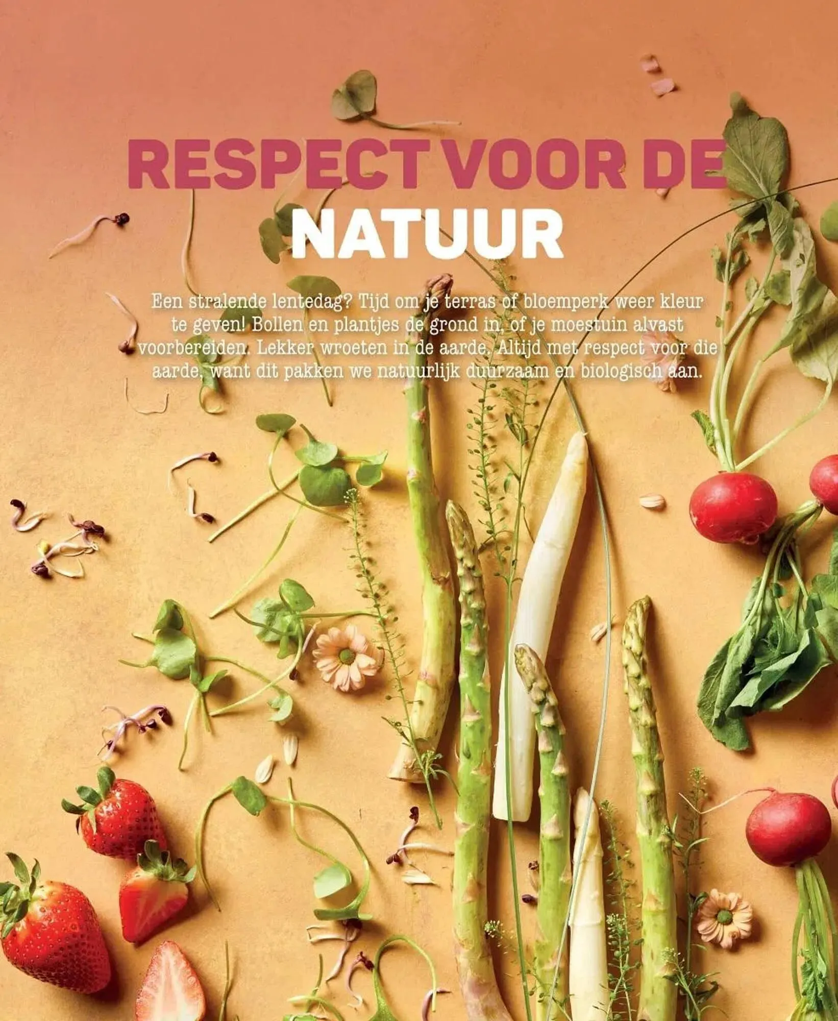 Ekoplaza folder van 19 maart tot 29 april 2025 - Folder pagina 8