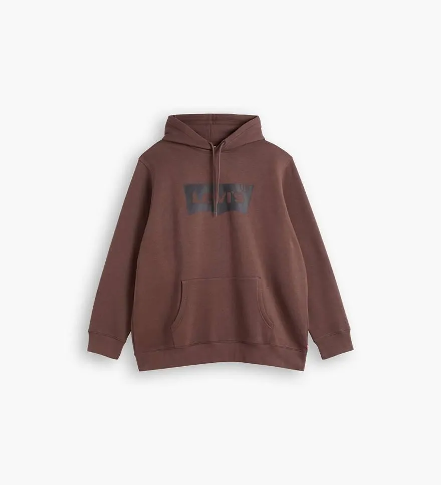 Graphic Hoodie (big & Tall)