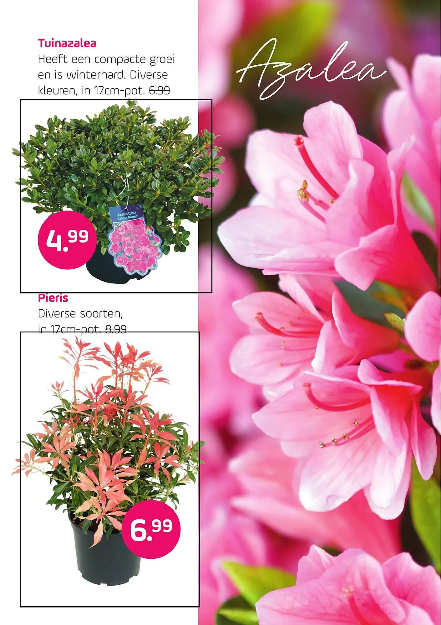 Coppelmans folder van 2 april tot 13 april 2025 - Folder pagina 3