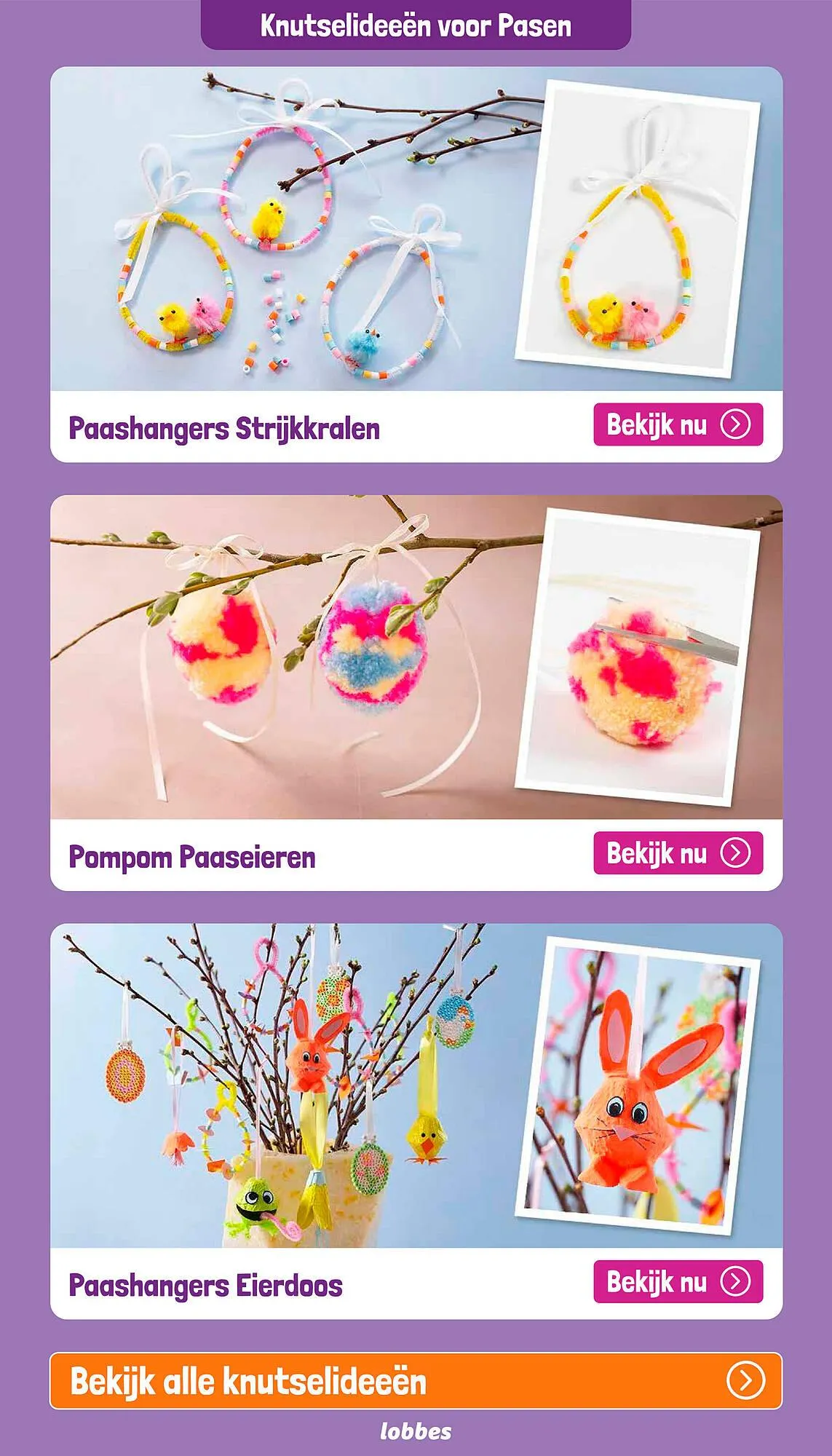 Lobbes folder van 23 maart tot 17 april 2025 - Folder pagina 9