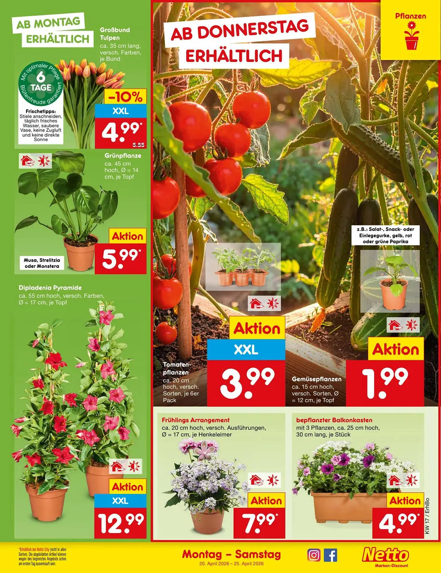 Netto Marken-Discount DE folder van 20 april tot 25 april 2026 - Folder pagina 11