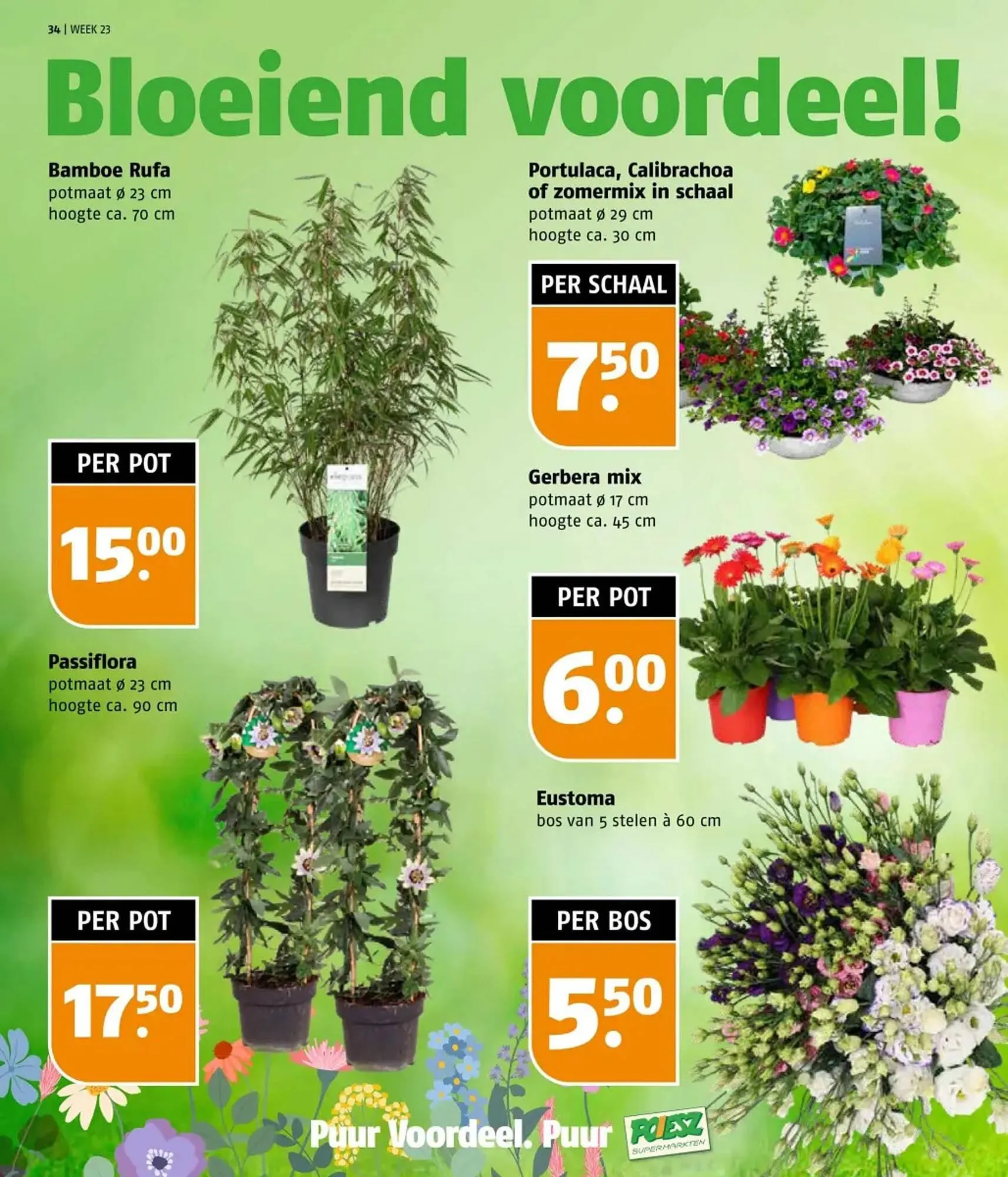 Poiesz folder van 2 juni tot 8 juni 2025 - Folder pagina 34