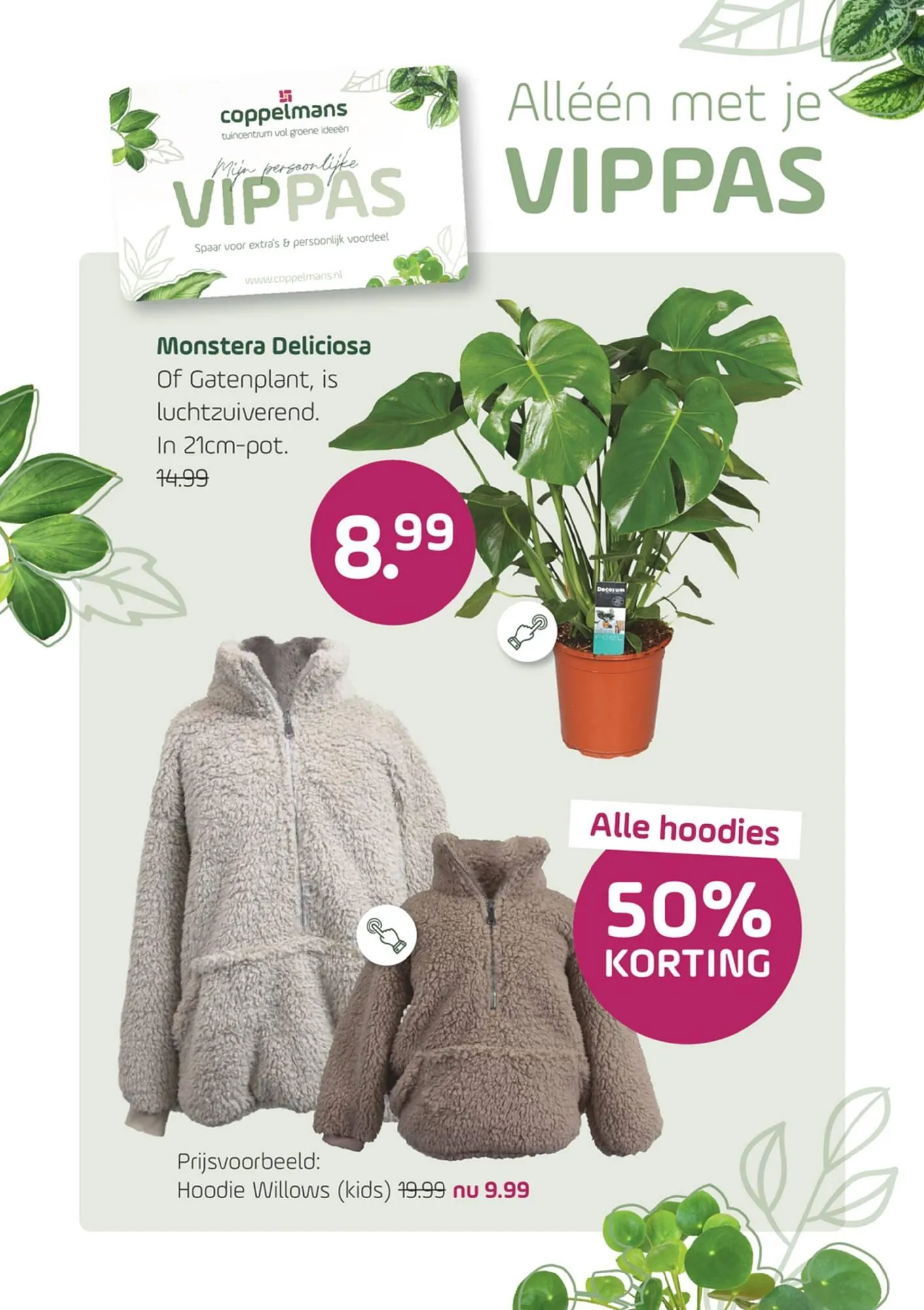 Coppelmans folder van 5 februari tot 16 februari 2025 - Folder pagina 2