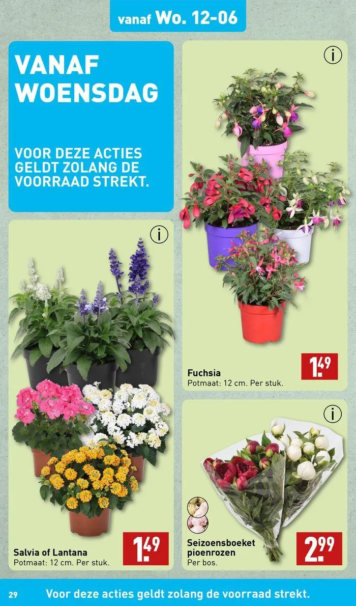 Folder Aldi van 6 juni tot 20 juni 2024 - Folder pagina 29