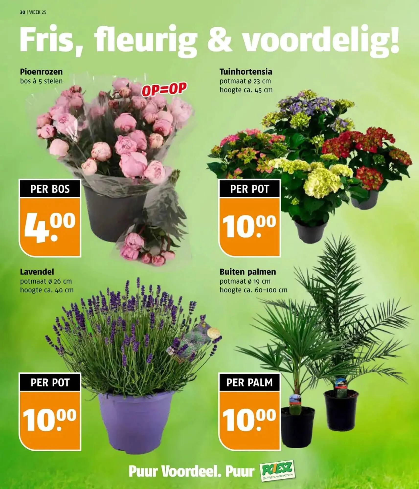 Poiesz folder van 16 juni tot 22 juni 2025 - Folder pagina 30