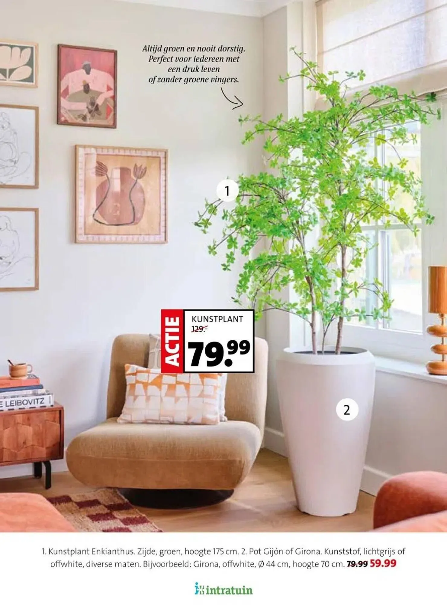 Intratuin folder van 16 februari tot 22 februari 2026 - Folder pagina 6