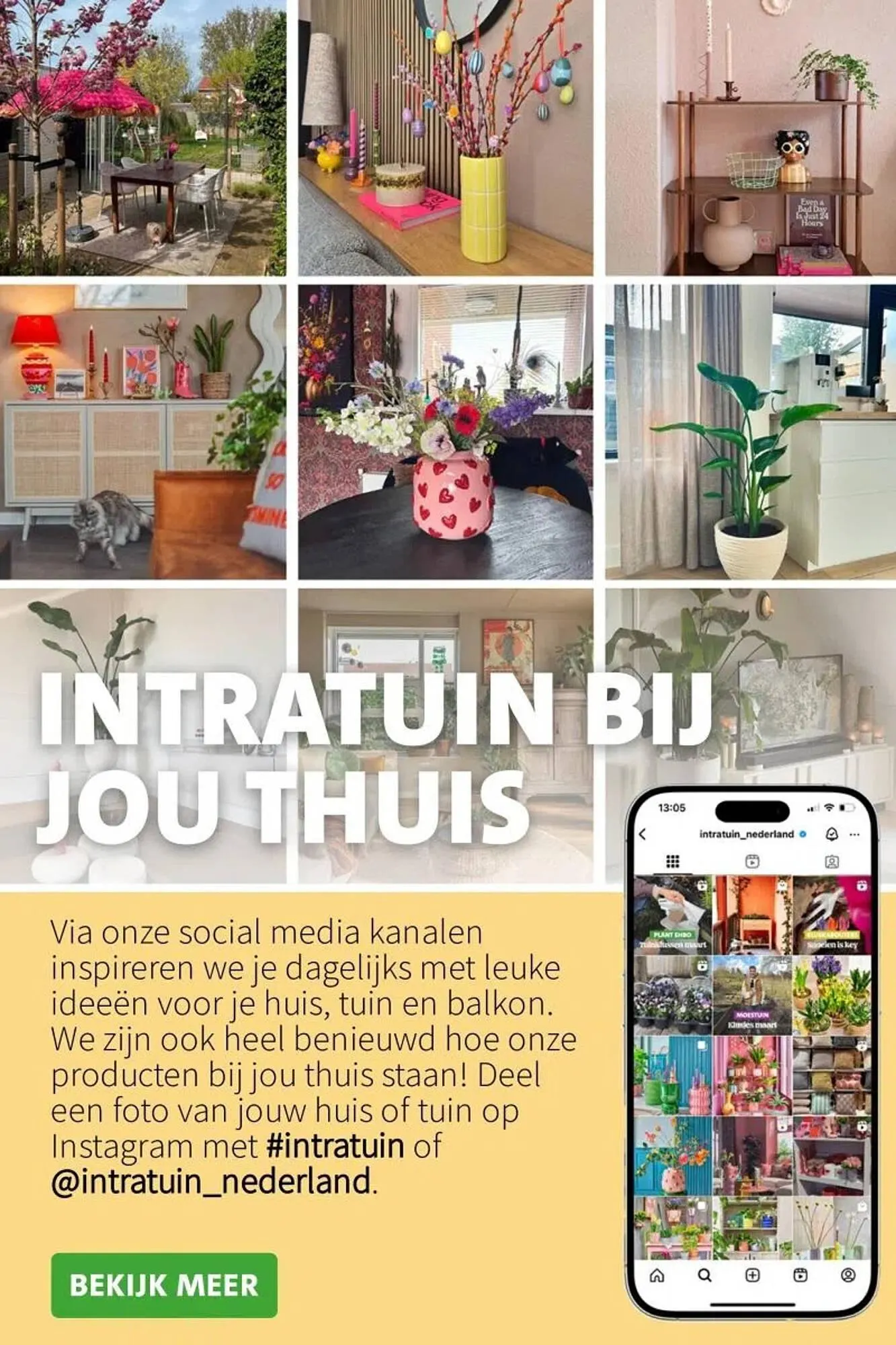 Intratuin folder van 12 mei tot 18 mei 2025 - Folder pagina 19