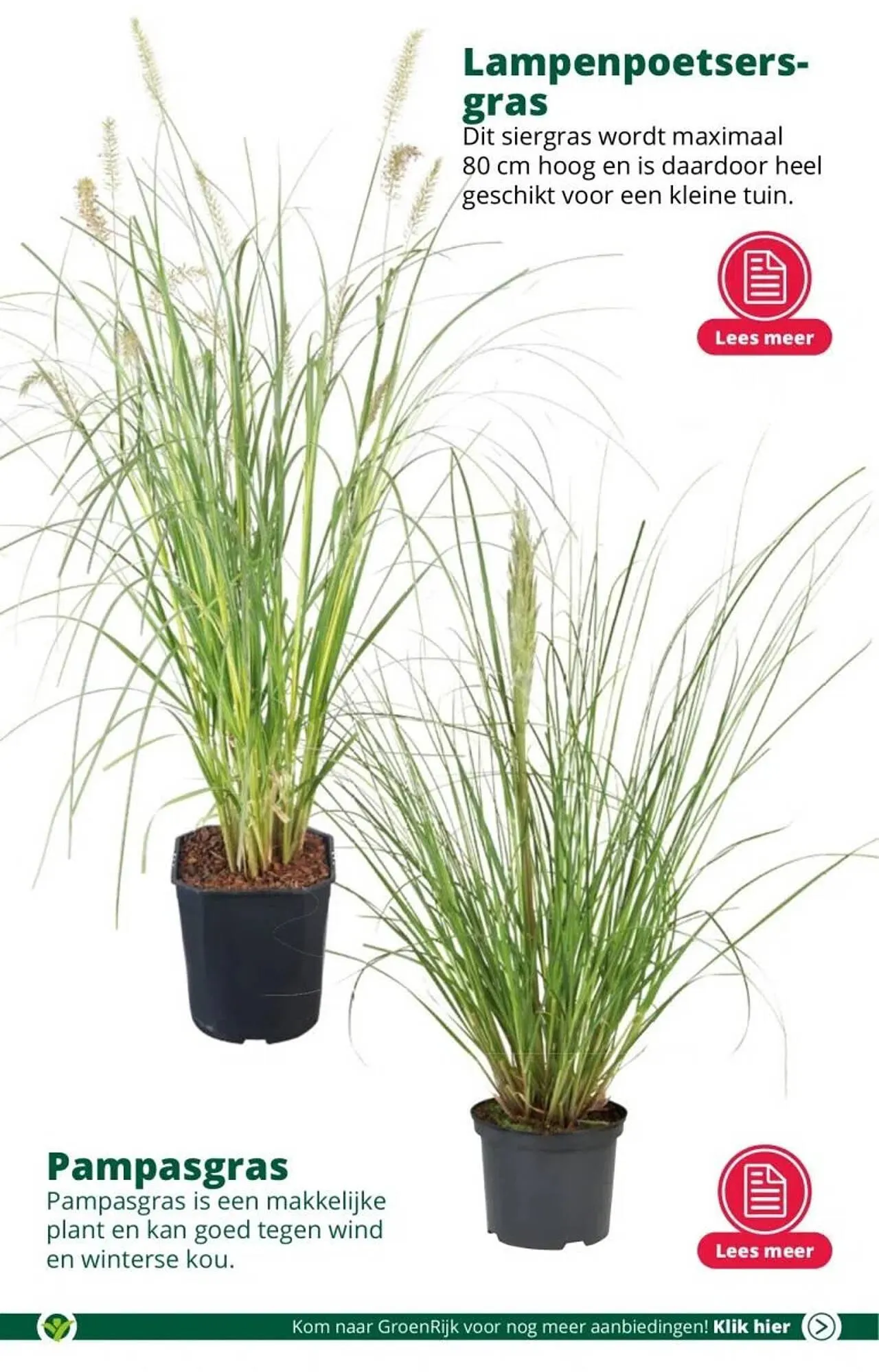 GroenRijk folder van 6 september tot 12 september 2023 - Folder pagina 3